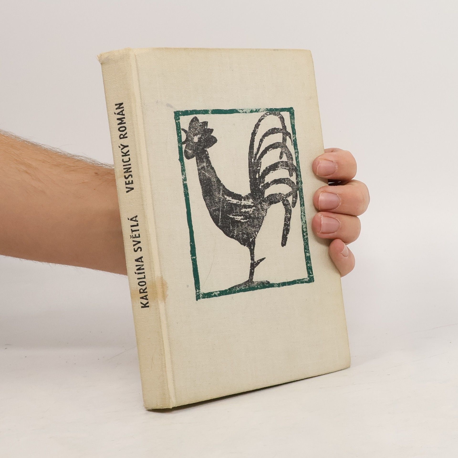 Karolina Světlá Vesnický román