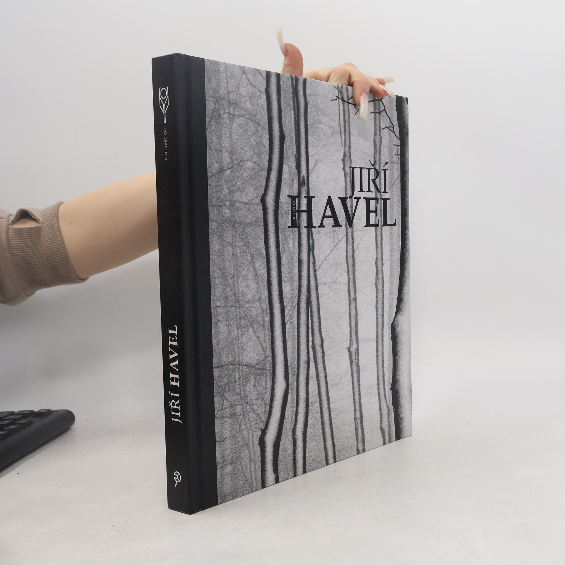 The Best of Jiří Havel