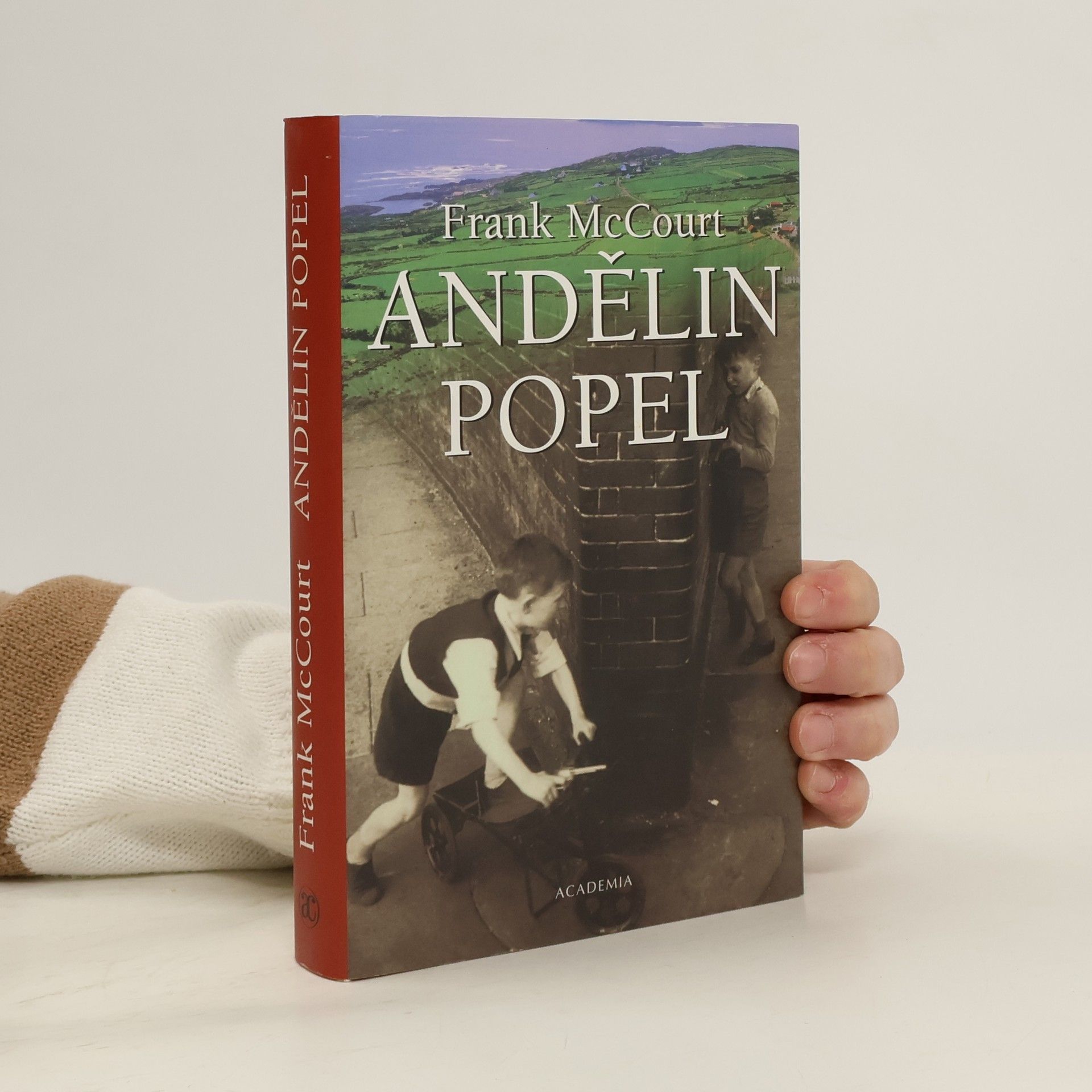 Frank McCourt Andělin popel