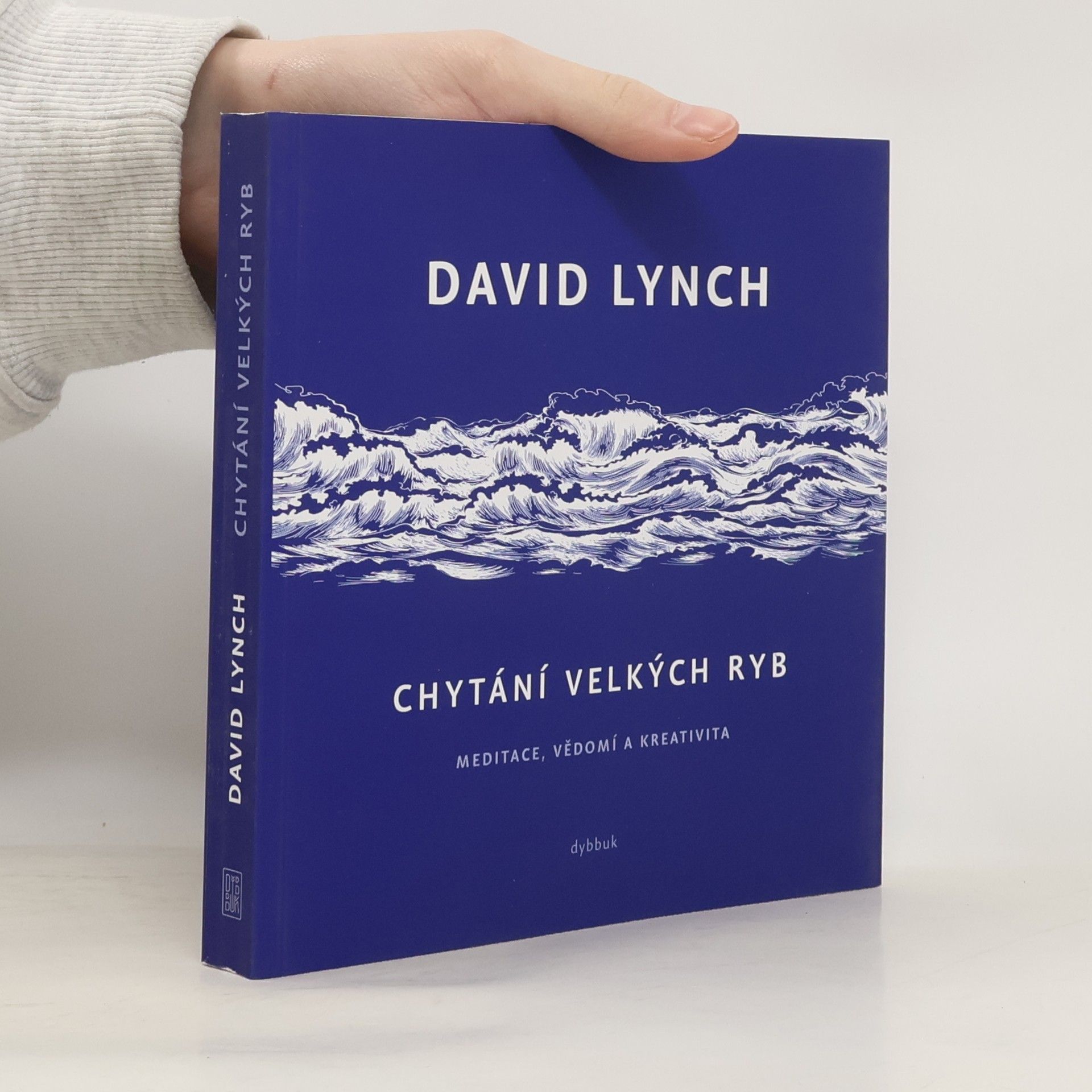 David Lynch Chytání velkých ryb