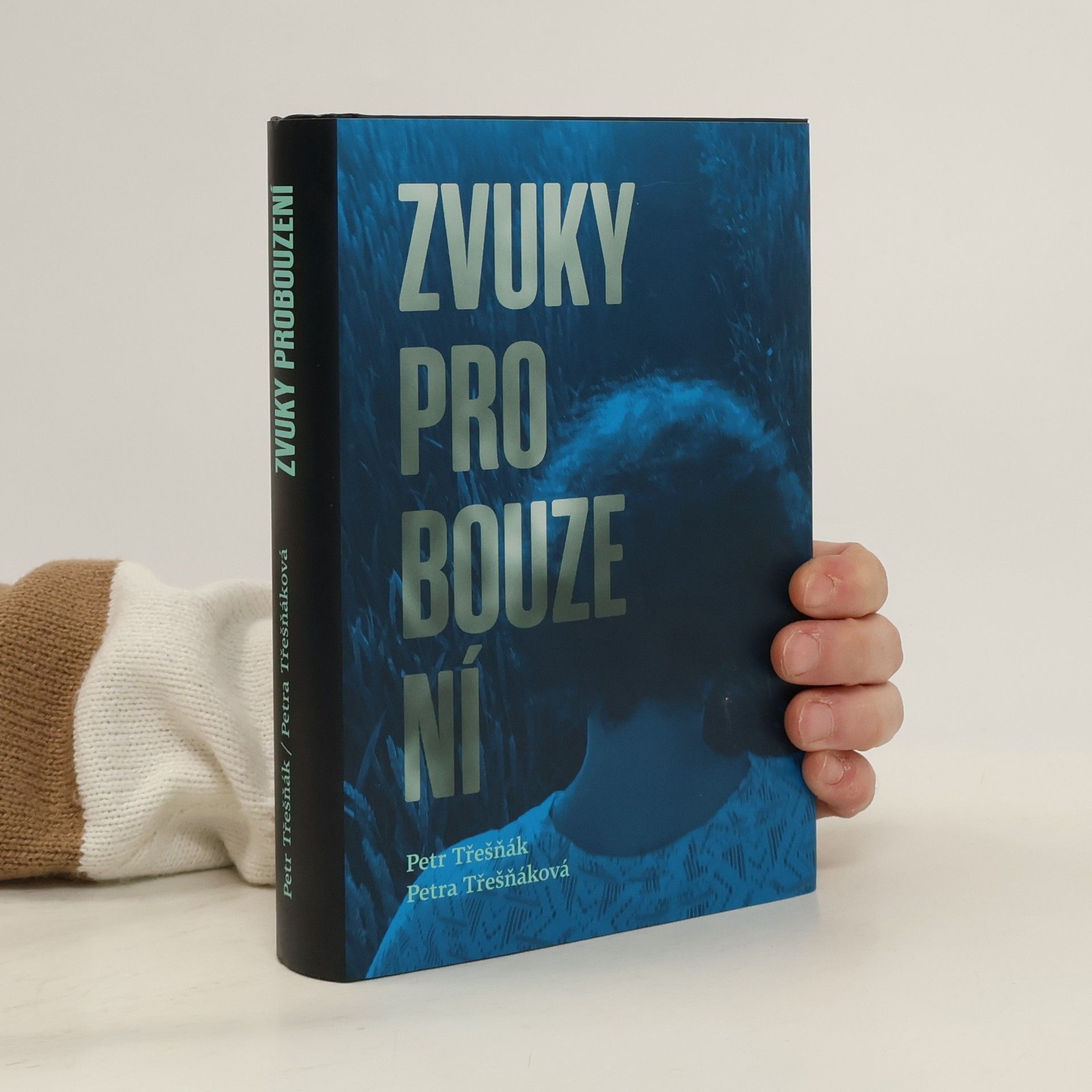 Petr Třešňák Zvuky probouzení