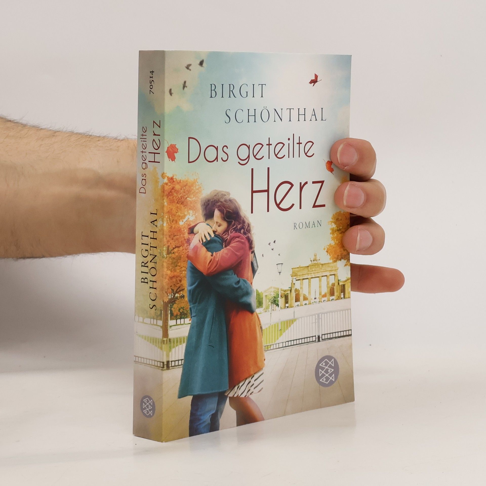 Birgit Schönthal Das geteilte Herz