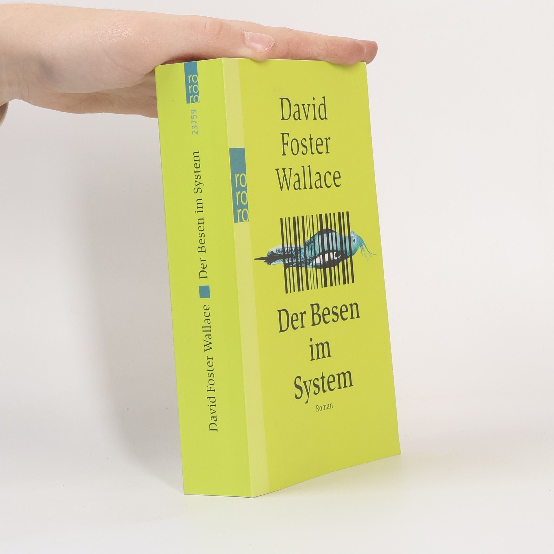 David Foster Wallace Der Besen im System