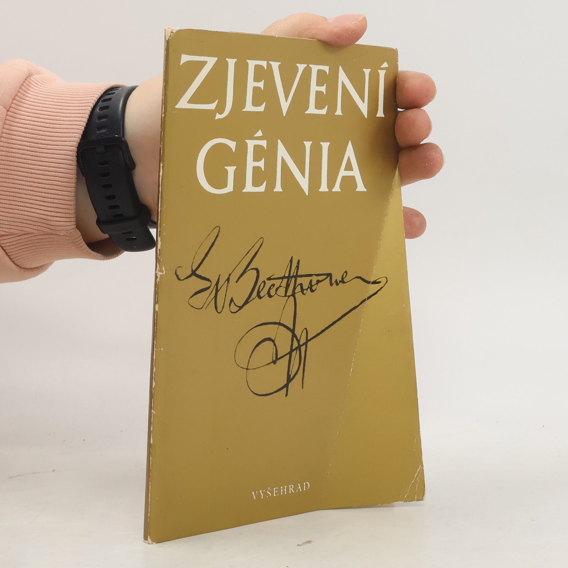 Jiří Vitula Zjevení génia. Ludwig van Beethoven