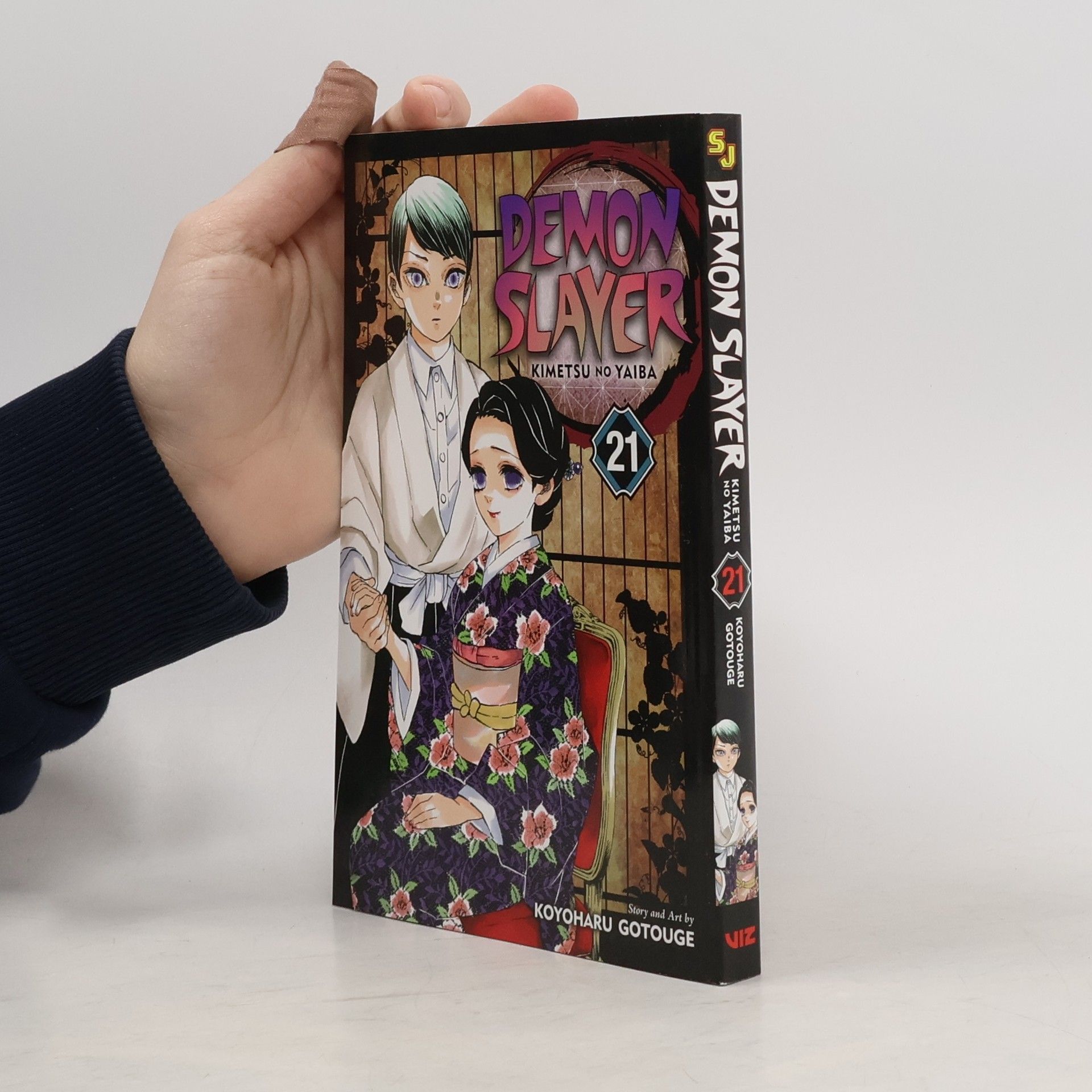 Demon Slayer: Kimetsu no Yaiba, Vol. 21