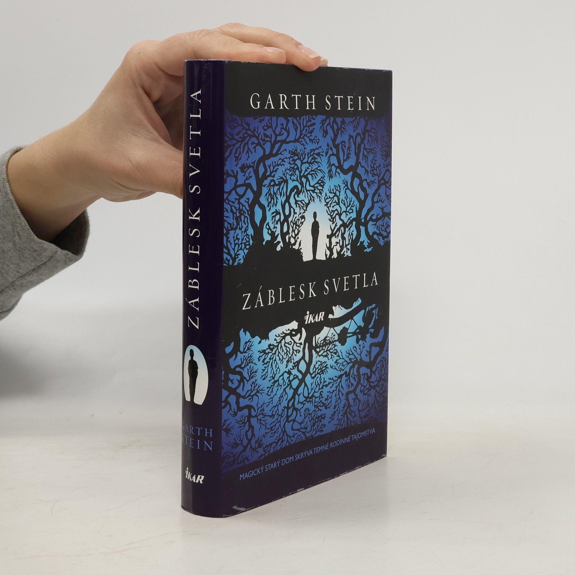 Garth Stein Záblesk svetla