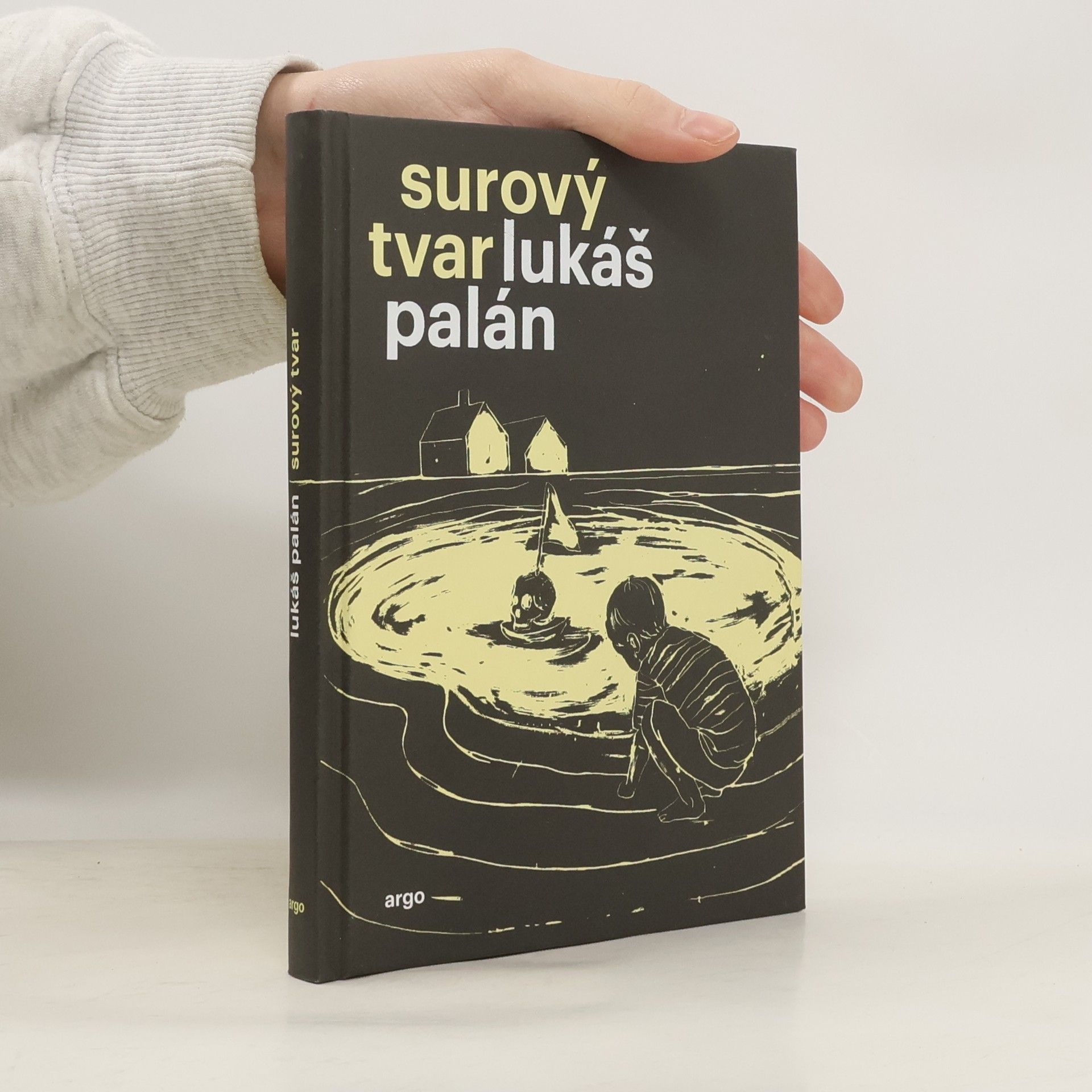 Lukáš Palán Surový tvar