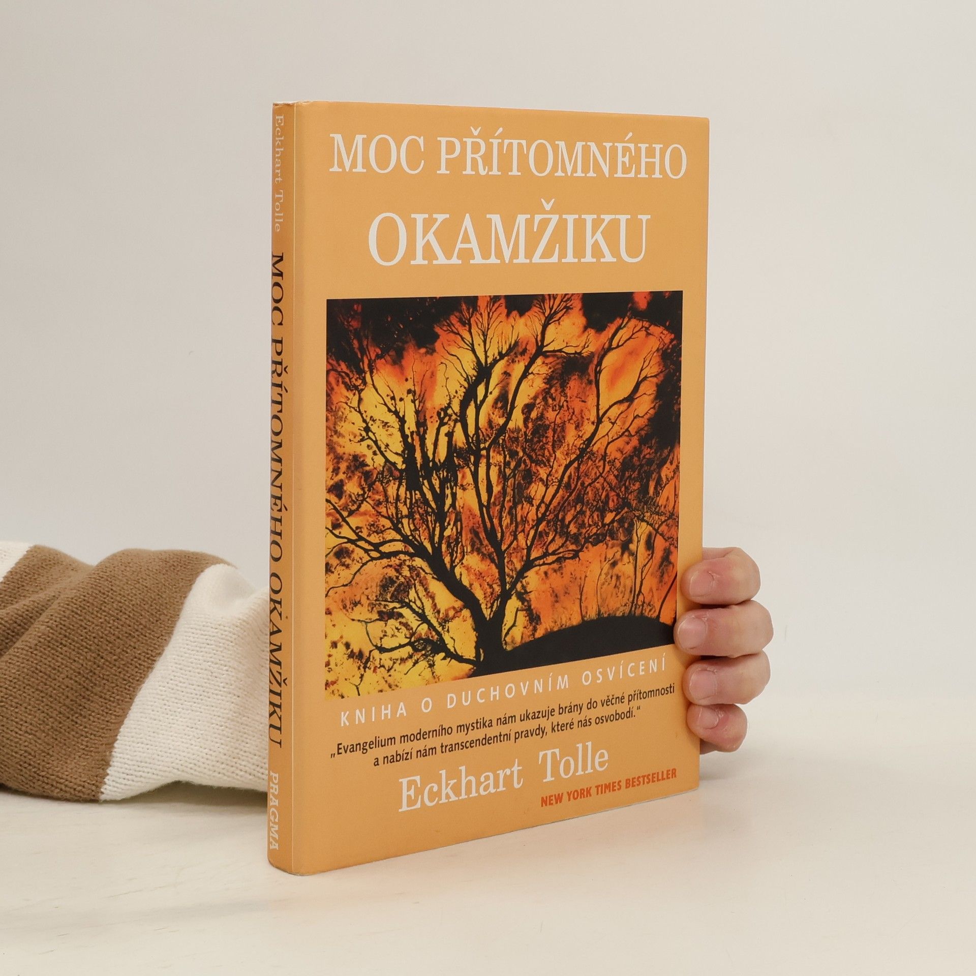 Eckhart Tolle Moc přítomného okamžiku