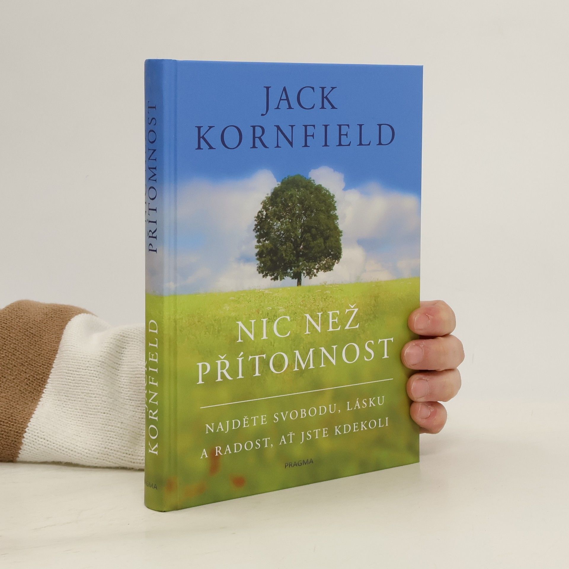 Nic než přítomnost