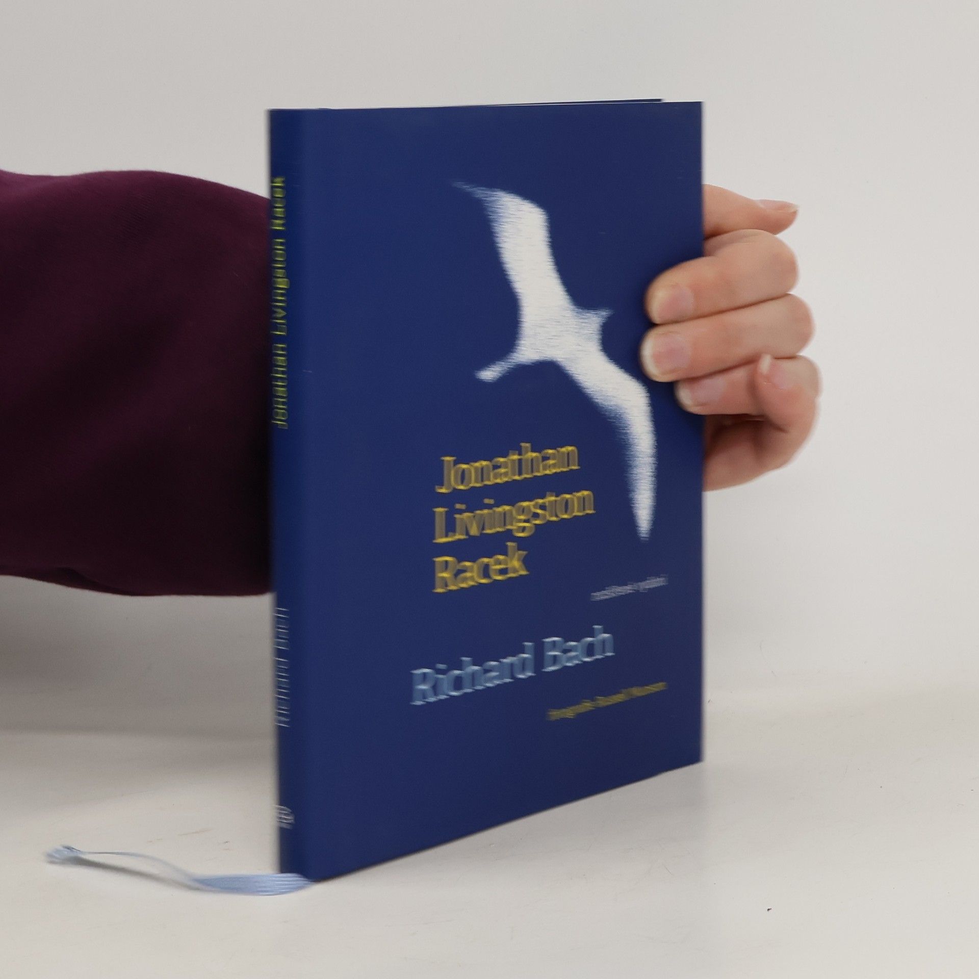 Richard Bach Jonathan Livingston Racek