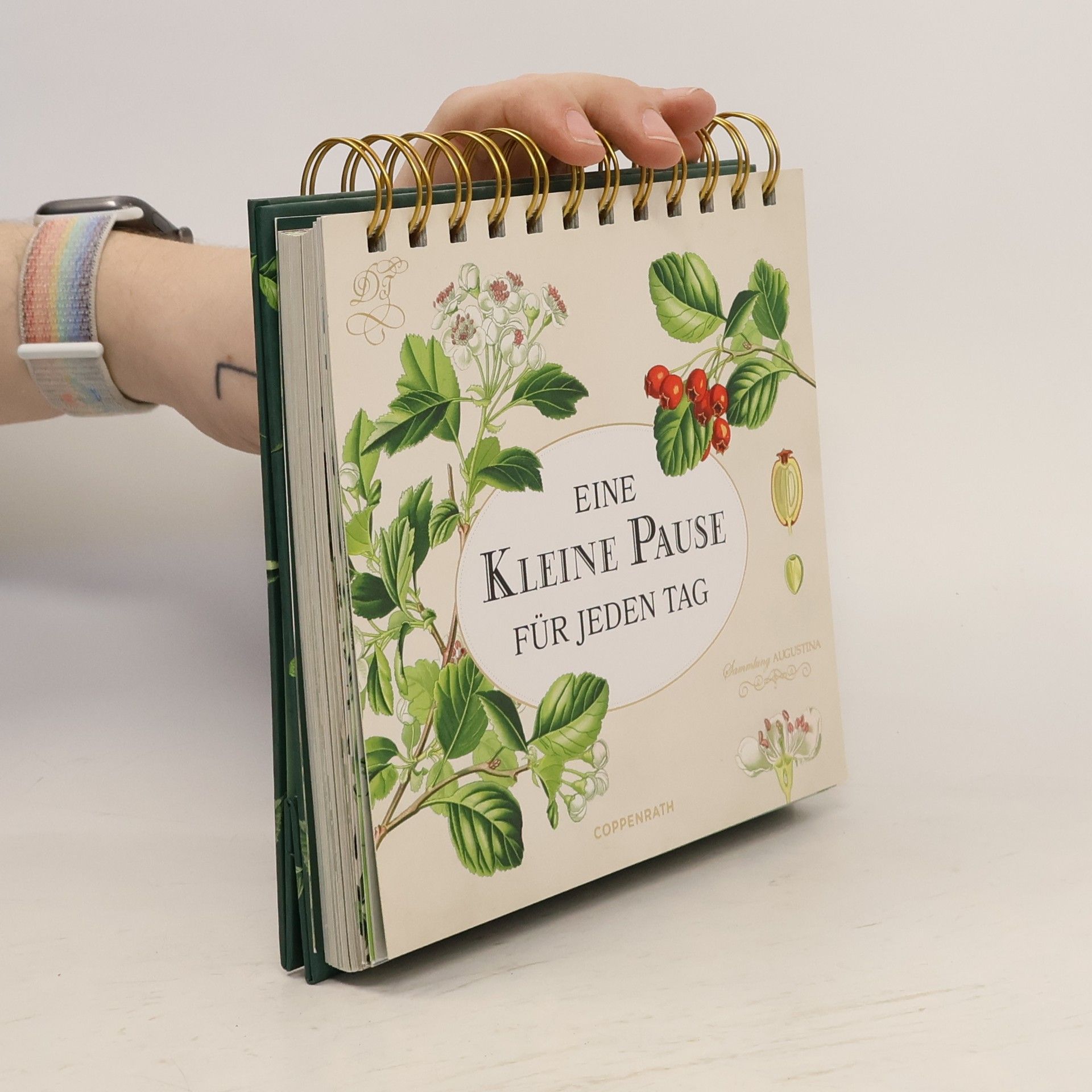 Autores varios Eine kleine Pause für jeden Tag