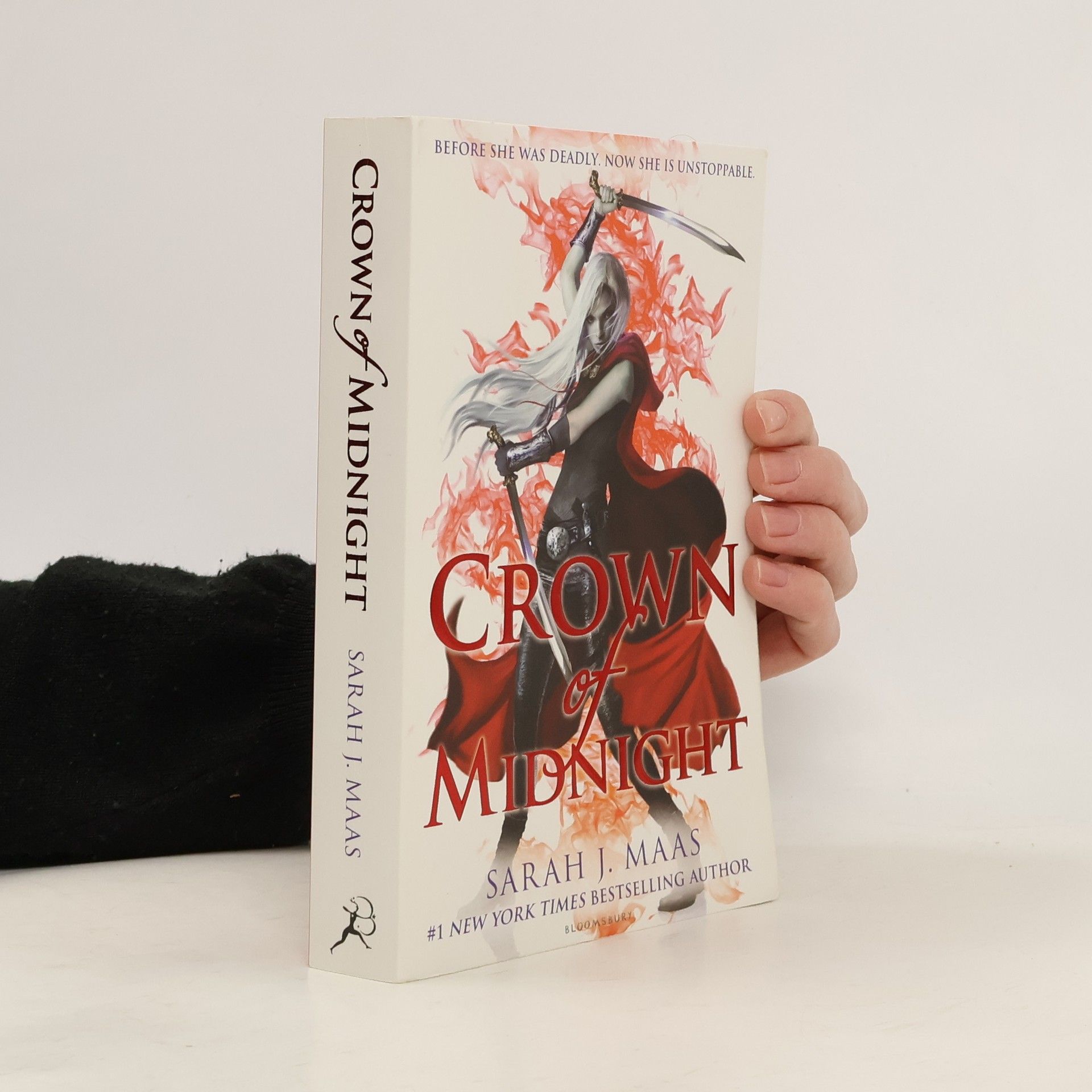 Sarah J. Maasová Crown of Midnight