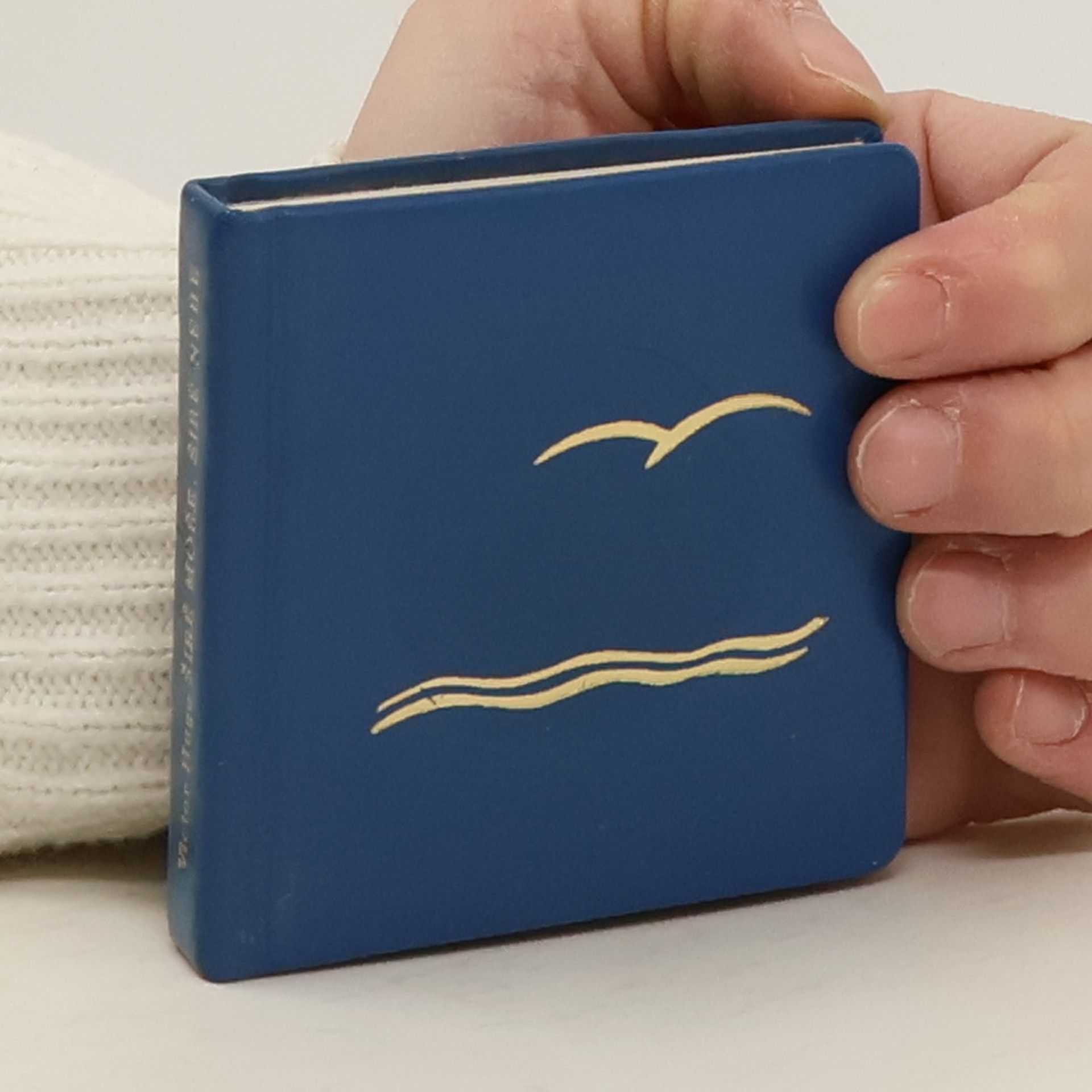 Victor Hugo Širé moře, širé nebe