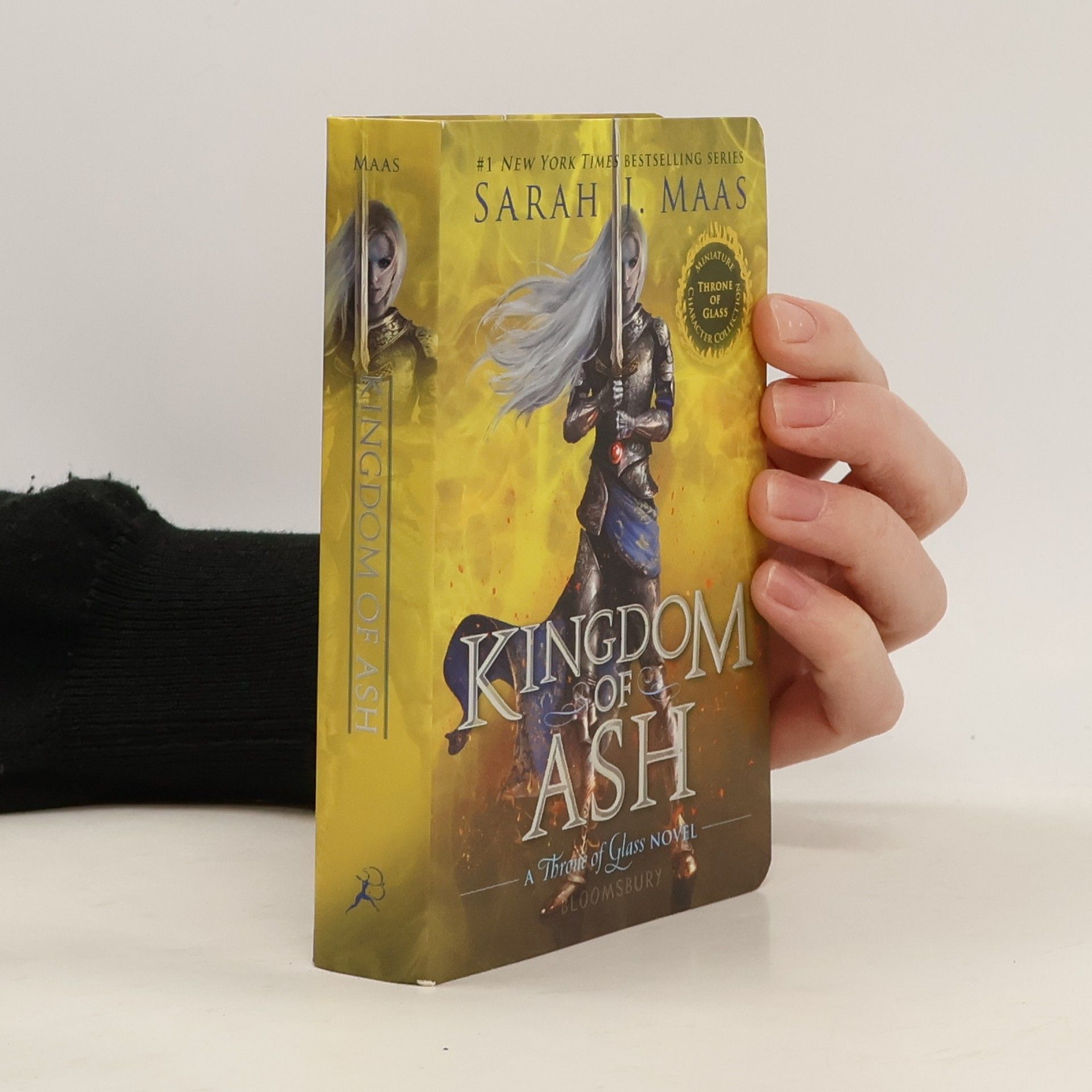 Kingdom of Ash (Miniature Character Collection)