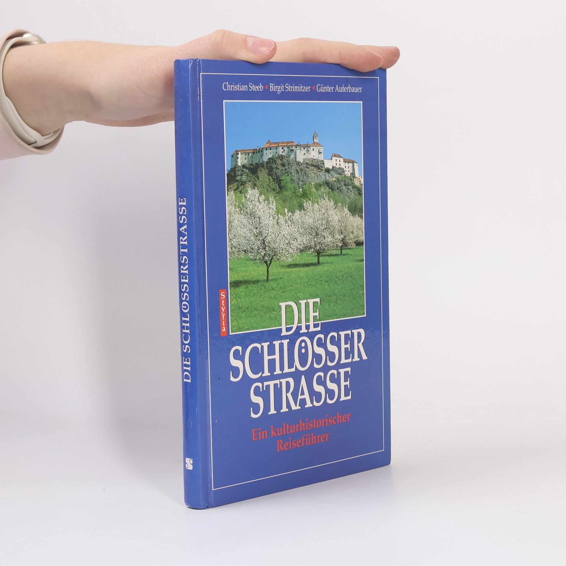 Christian Steeb Die Schlösserstrasse