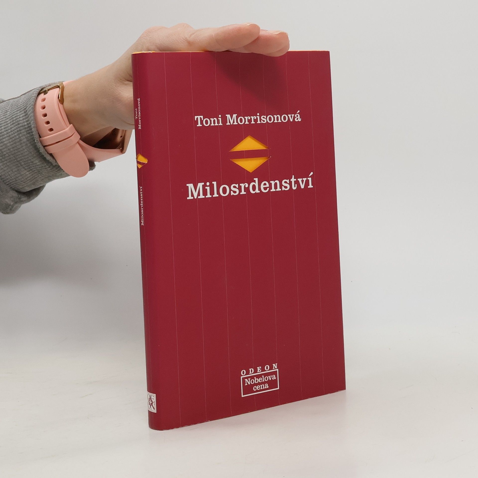 Toni Morrison Milosrdenství