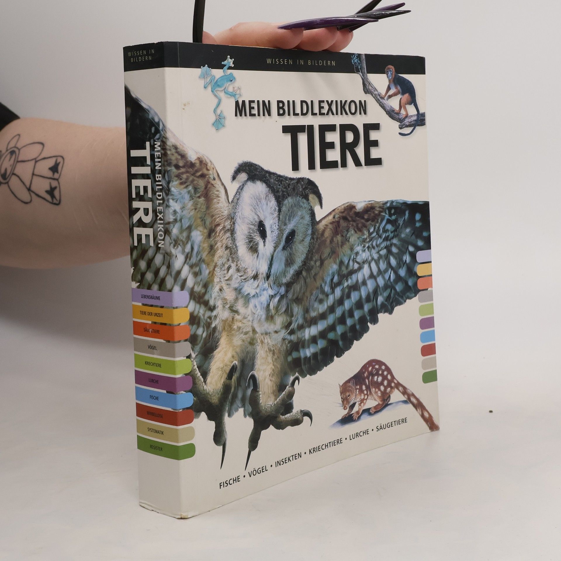 Collectif d'auteurs Mein Bildlexikon Tiere