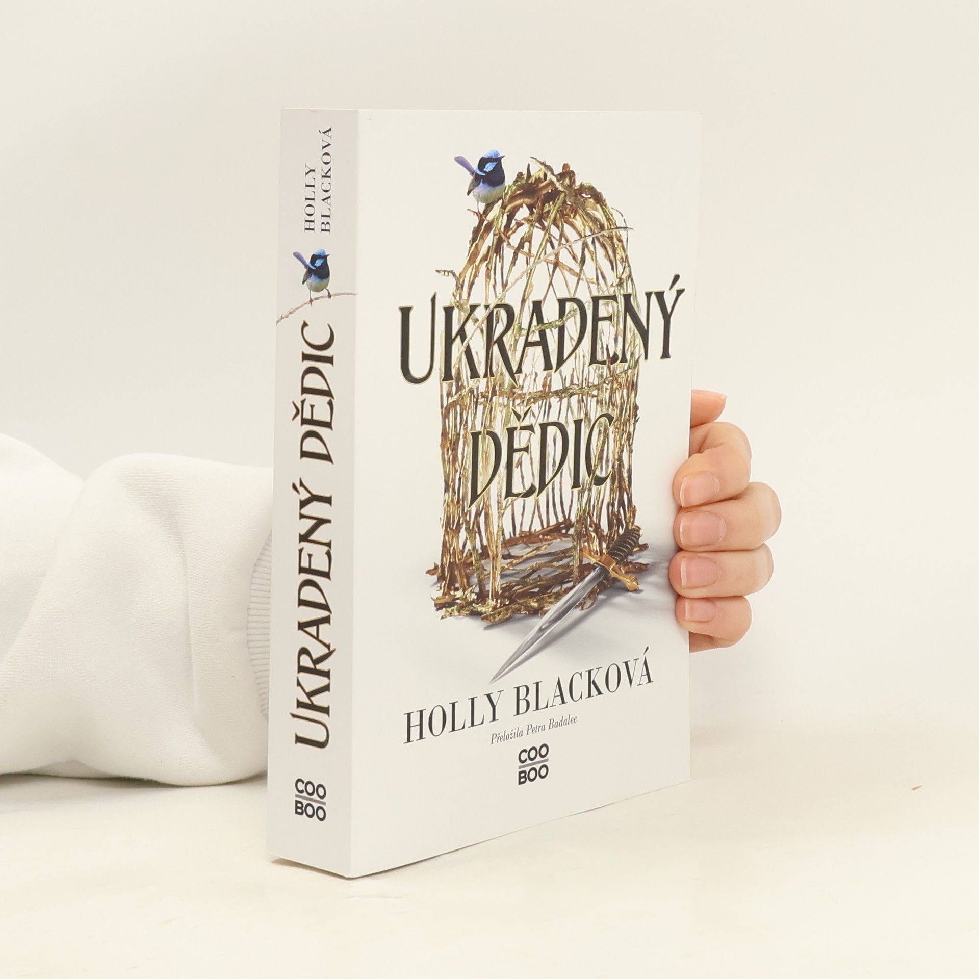 Holly Black Ukradený dědic