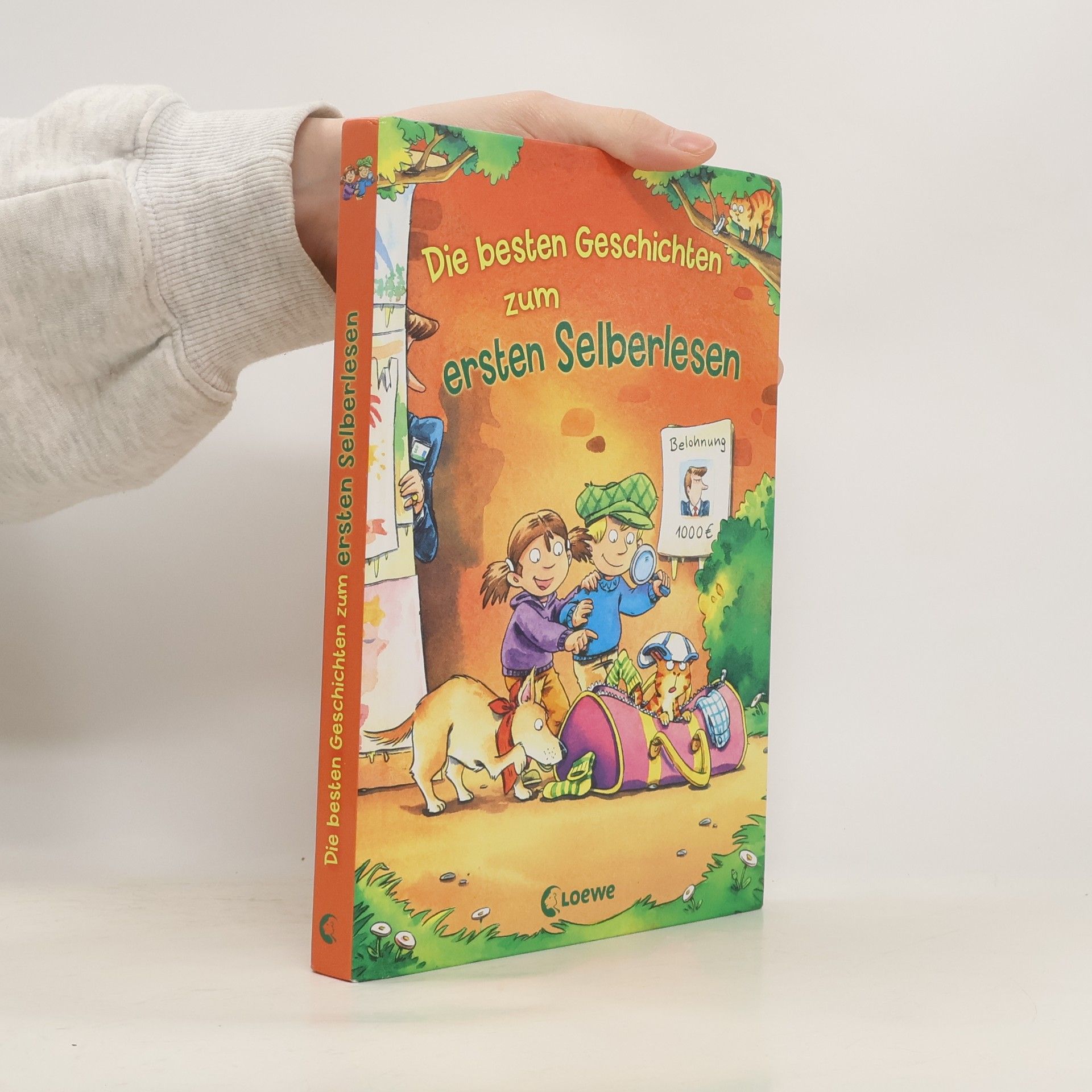 Autores varios Die besten Geschichten zum ersten Selberlesen