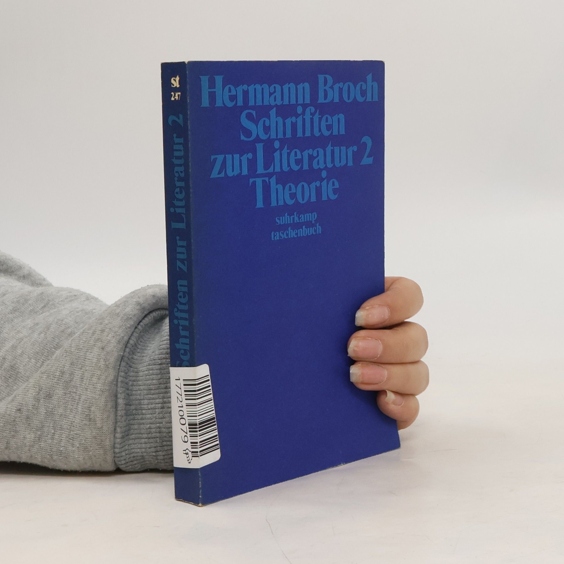 Schriften zur Literatur 2. Theorie