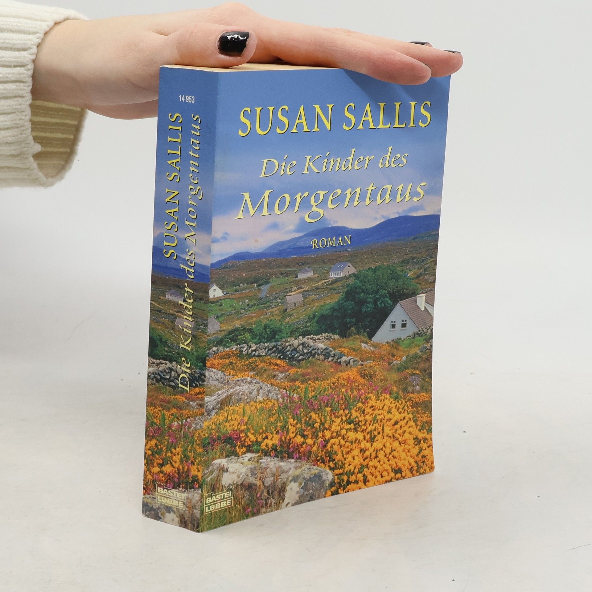 Susan Sallis Die Kinder des Morgentaus