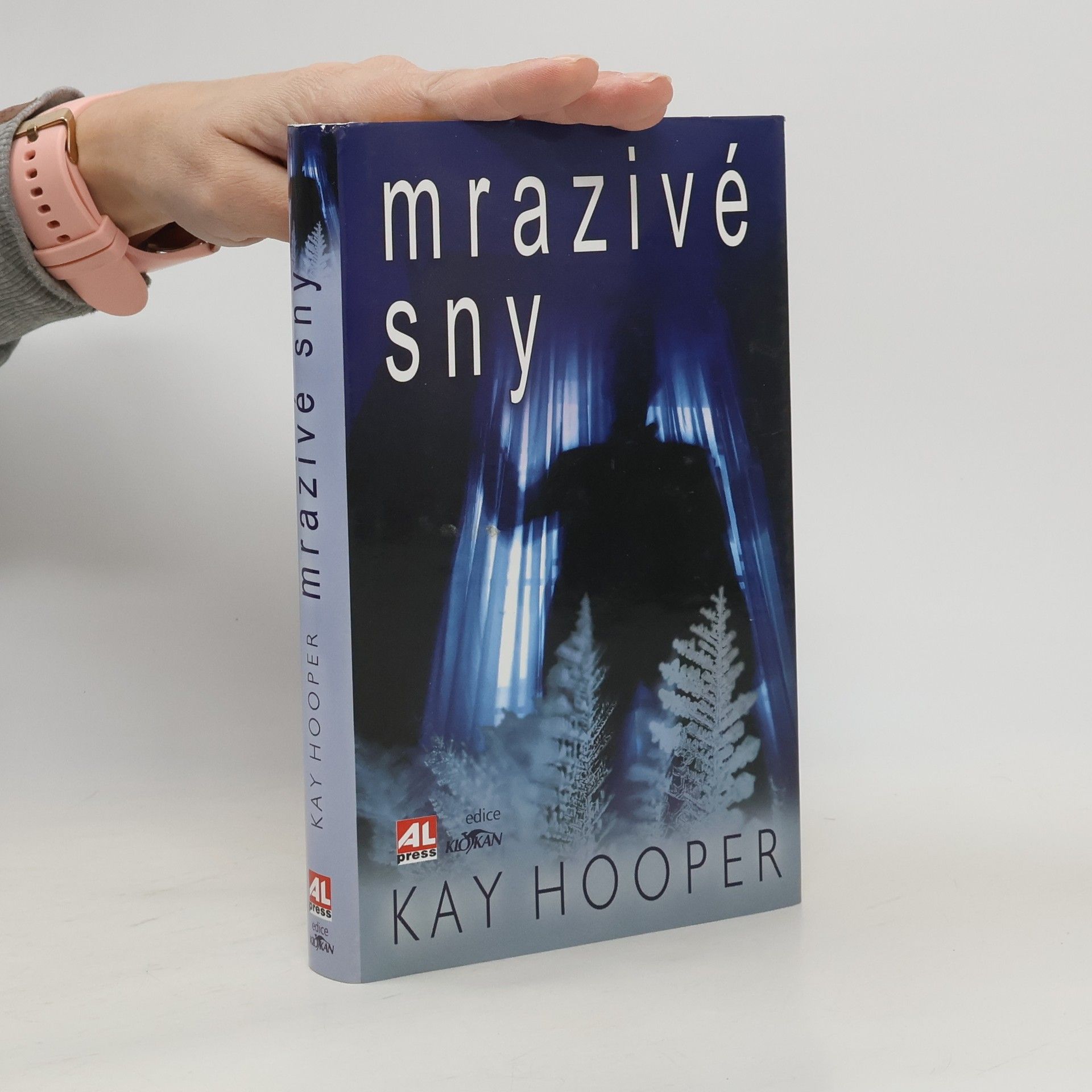 Kay Hooper Mrazivé sny