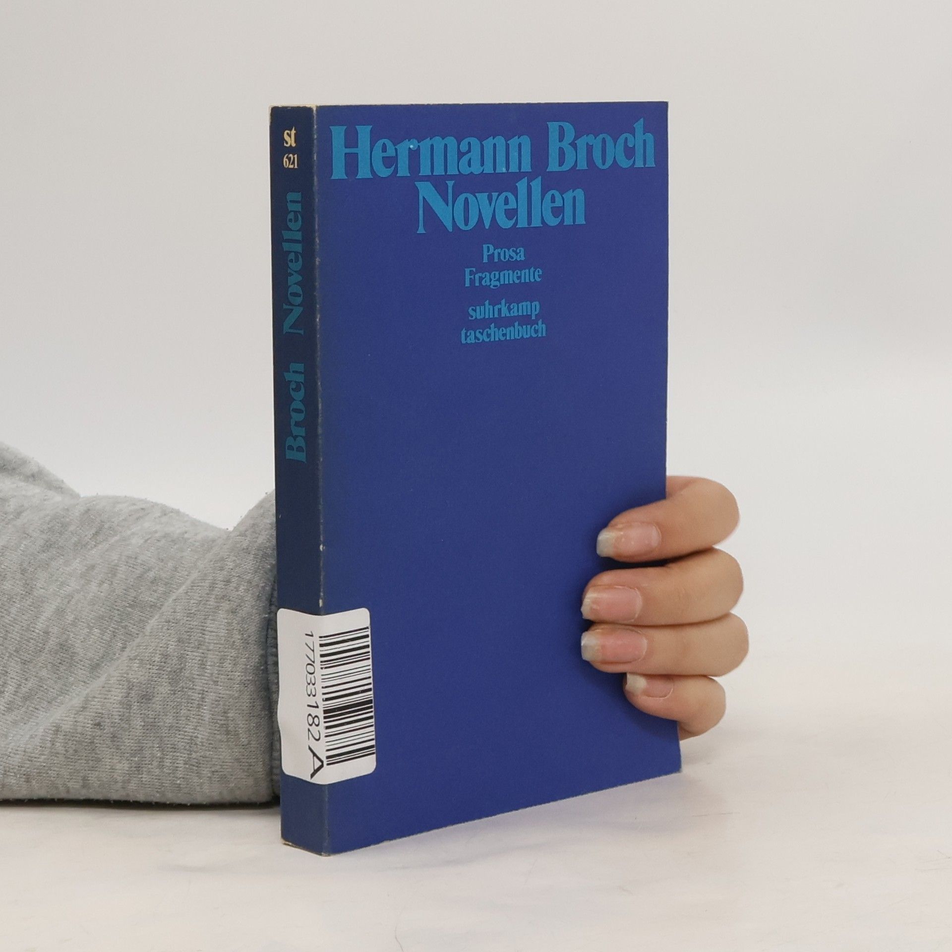 Hermann Broch Novellen