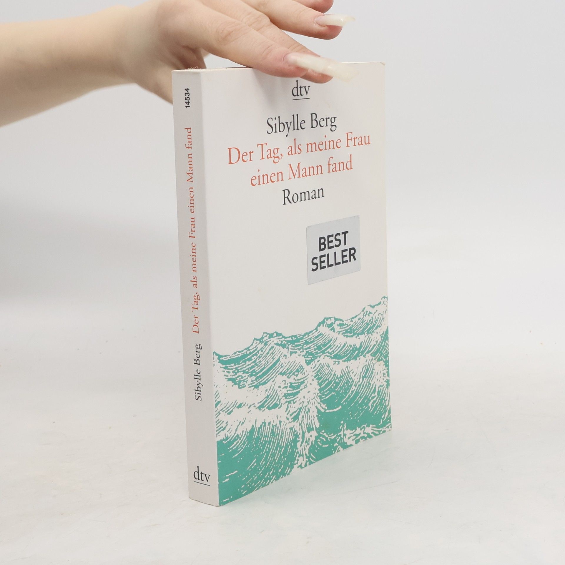 Sibylle Berg Der Tag, als meine Frau einen Mann fand