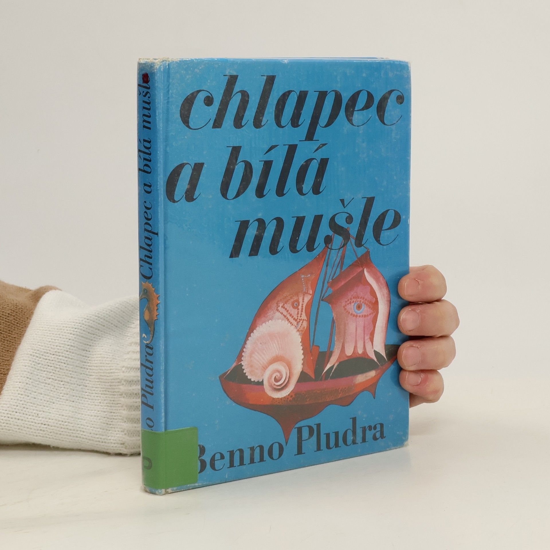 Chlapec a bílá mušle