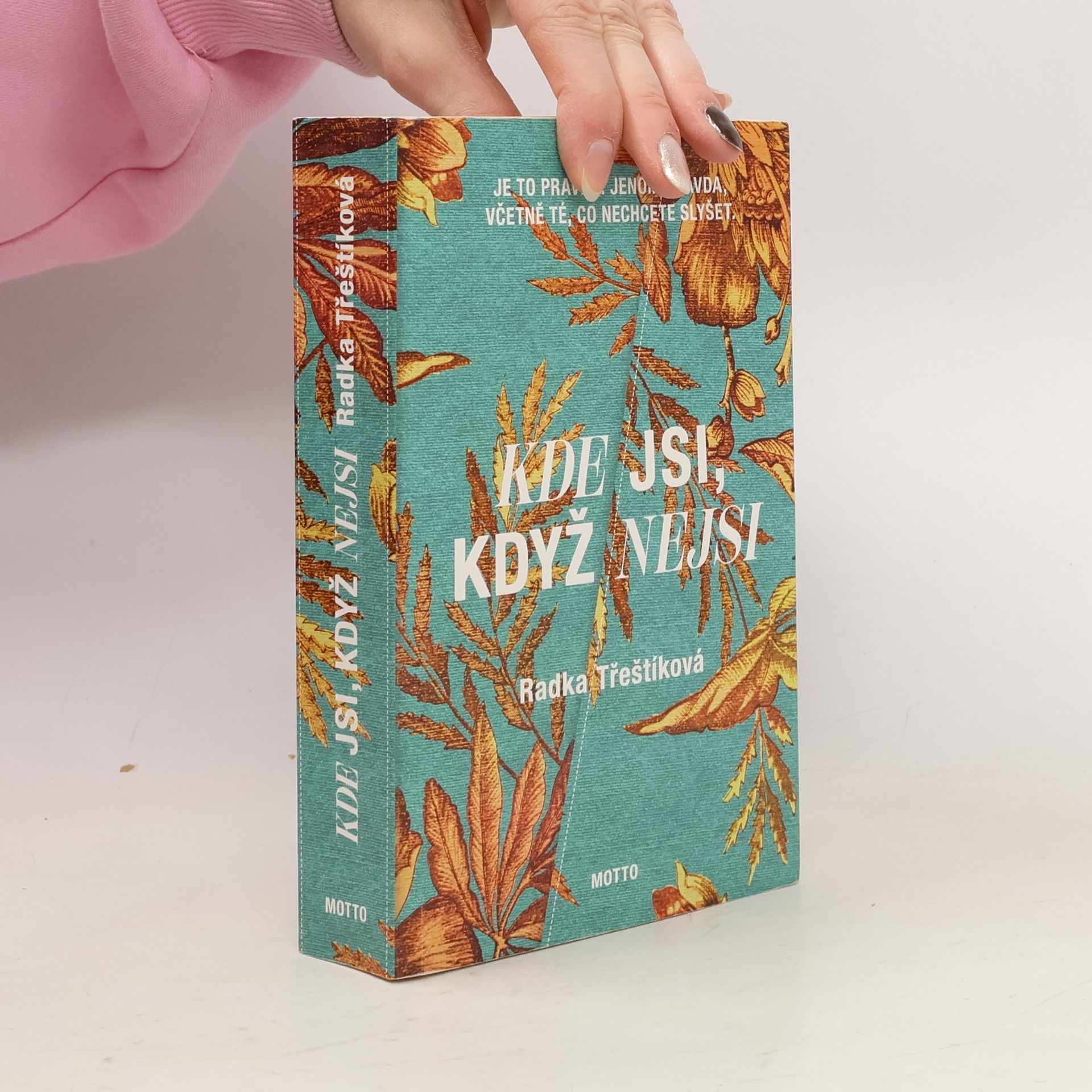 Radka Třeštíková Kde jsi, když nejsi