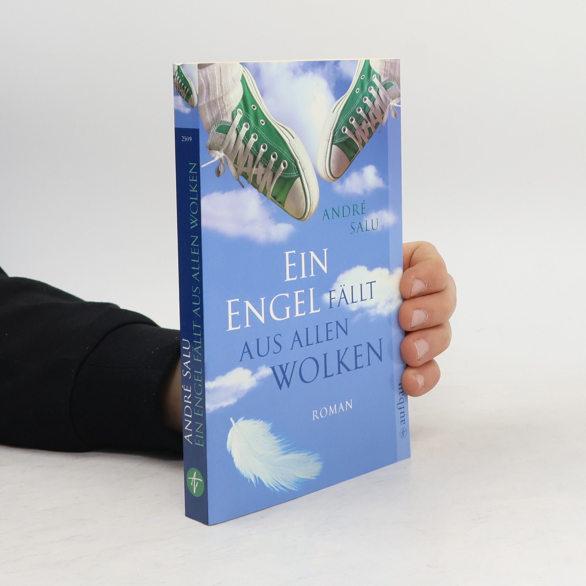 Andre Salu Ein Engel fällt aus allen Wolken
