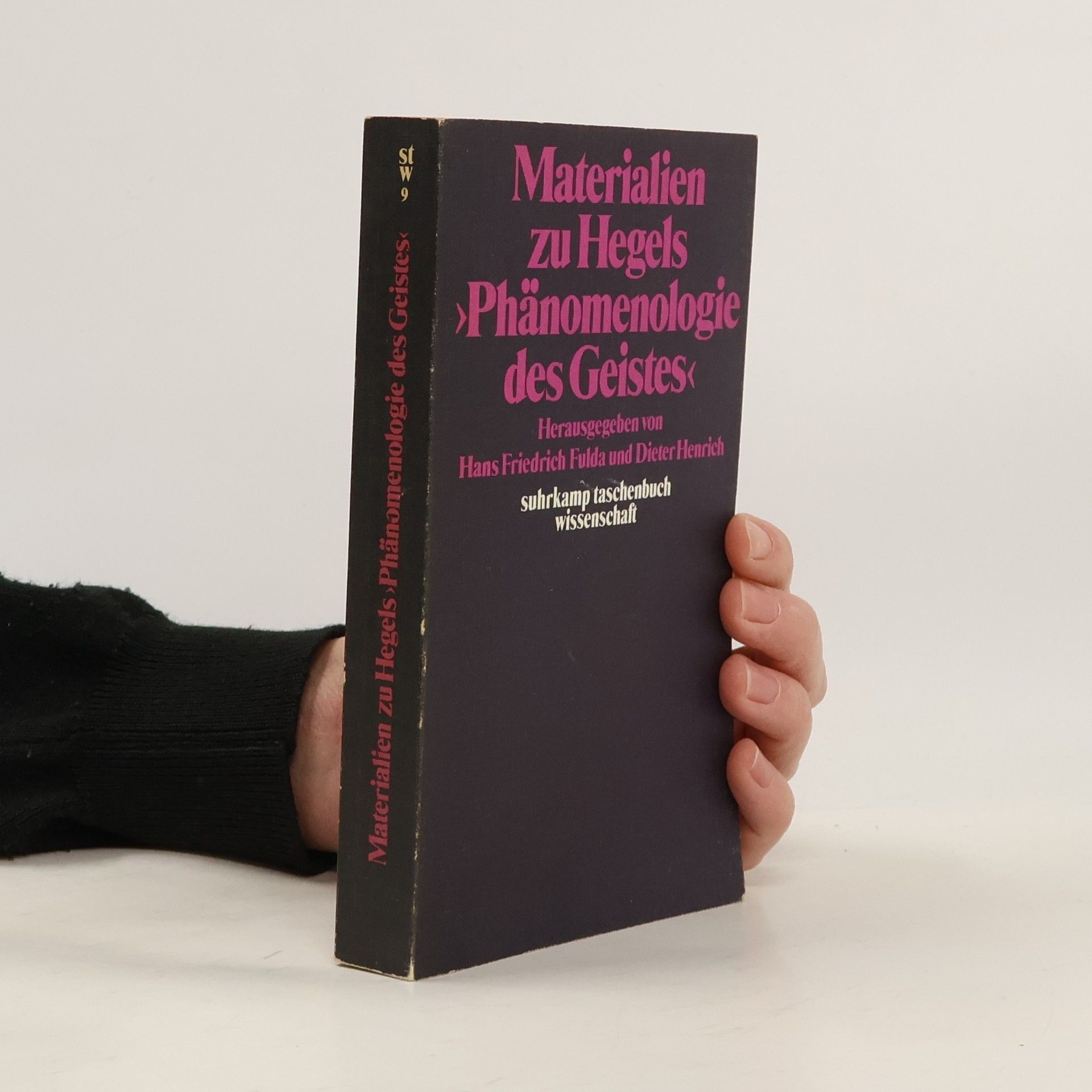 Materialien zu Hegels Phänomenologie des Geistes