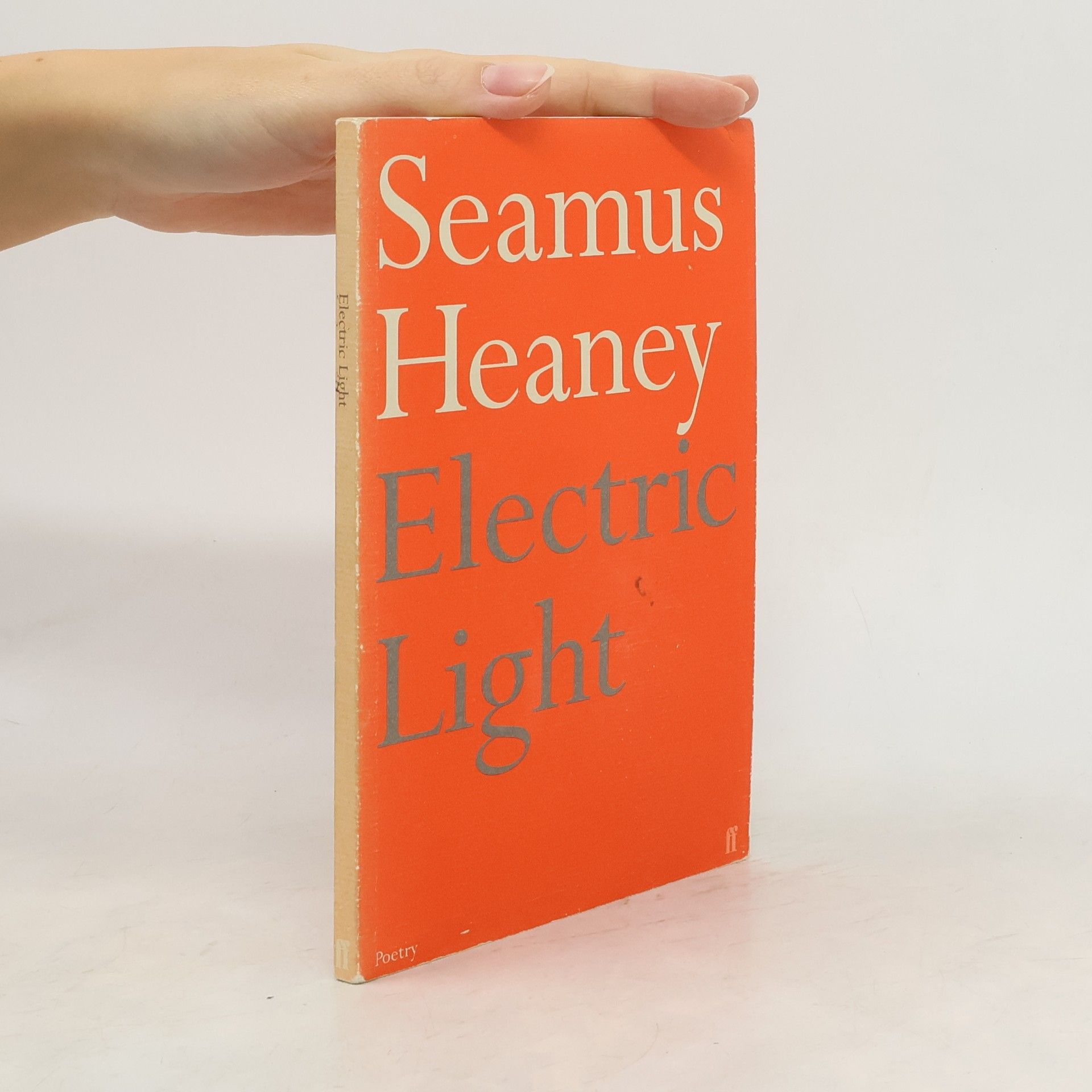 Seamus Heaney Electric Light