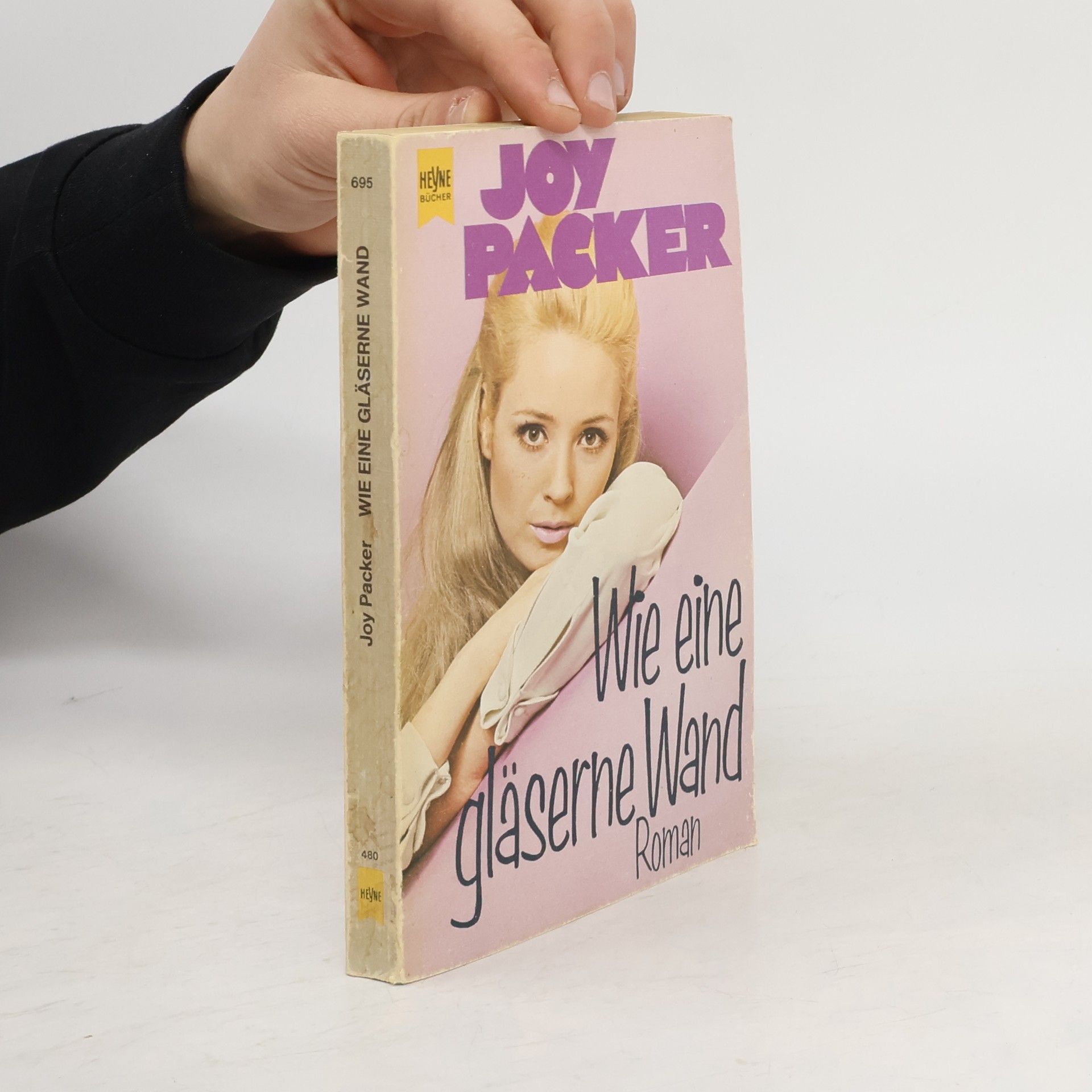 Joy Petersen Packer Wie eine gläserne Wand