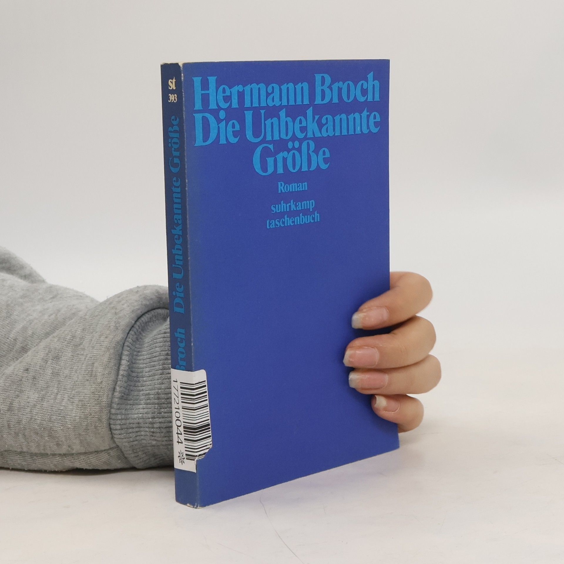 Hermann Broch Die unbekannte Grösse