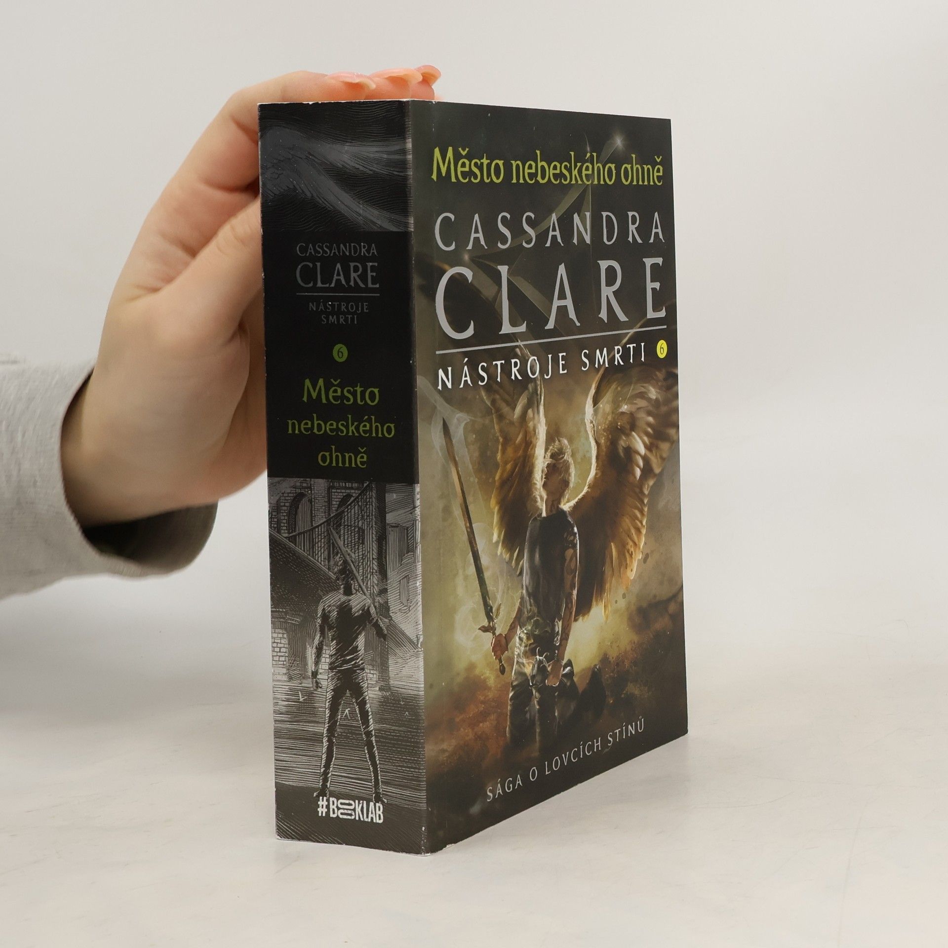 Cassandra Clare Nástroje smrti 6: Město nebeského ohně