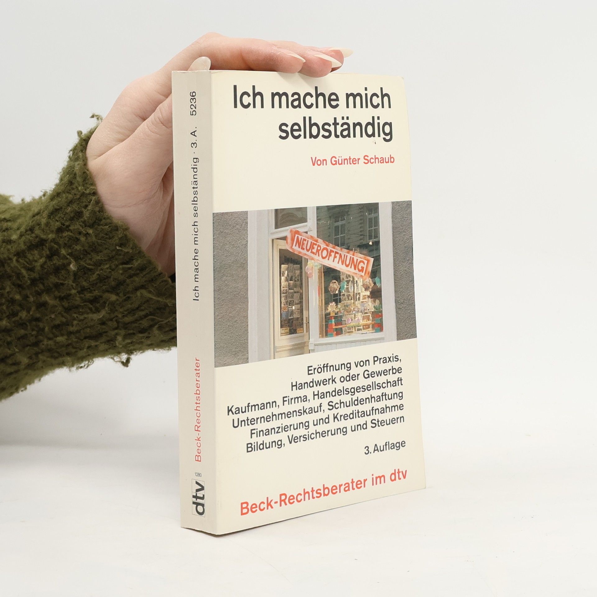 Günter Schaub Ich mache mich selbständig