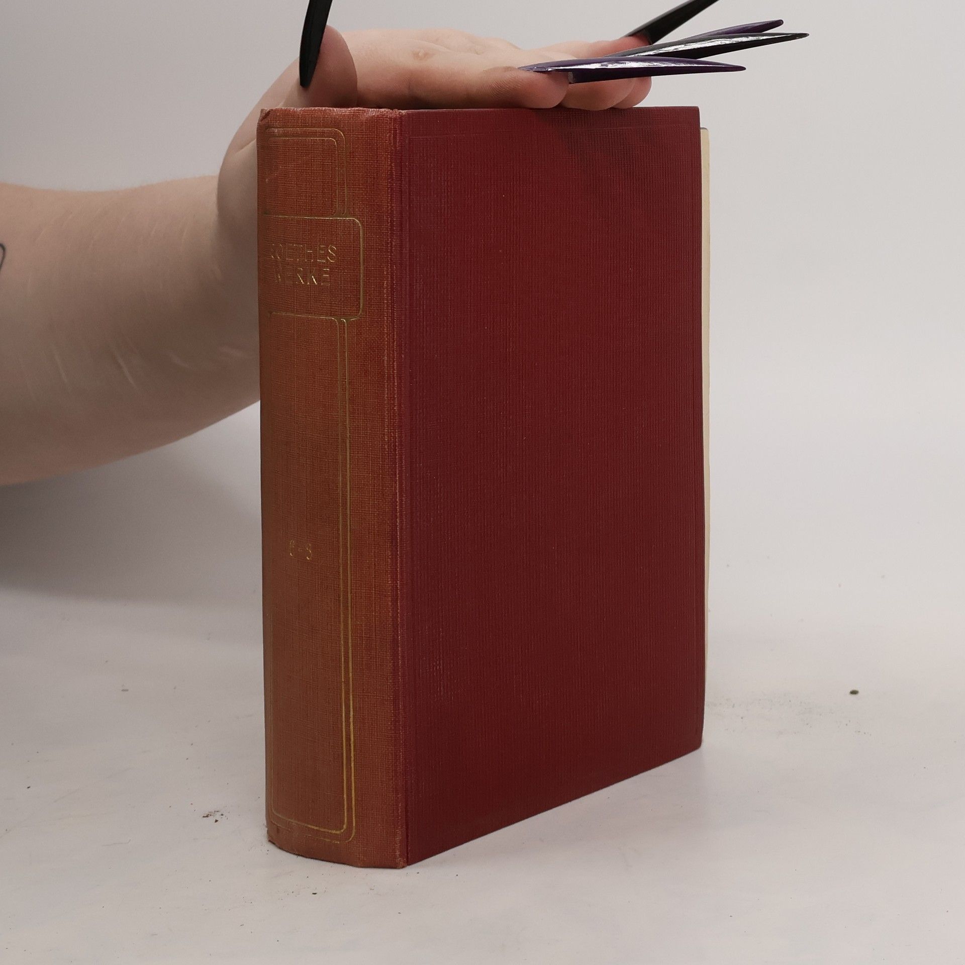 Karl Alt Goethes Werke