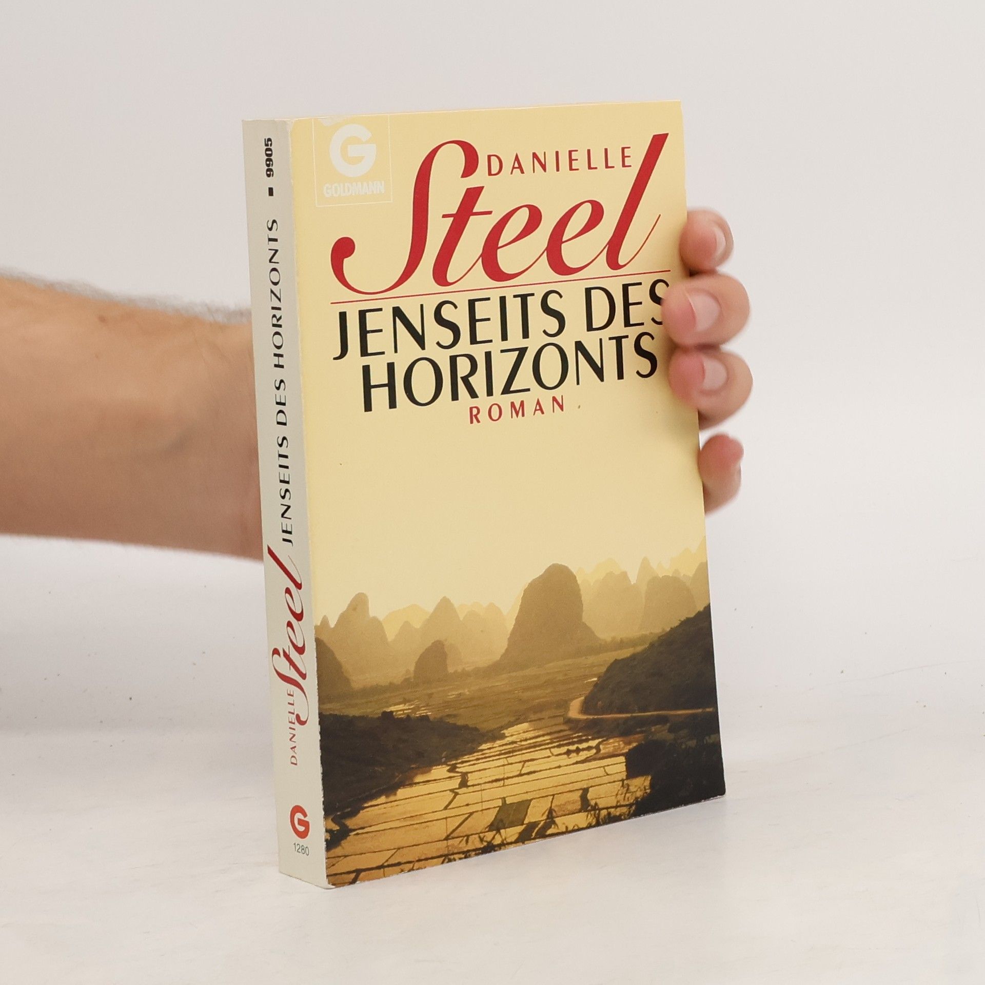 Danielle Steel Jenseits des Horizonts
