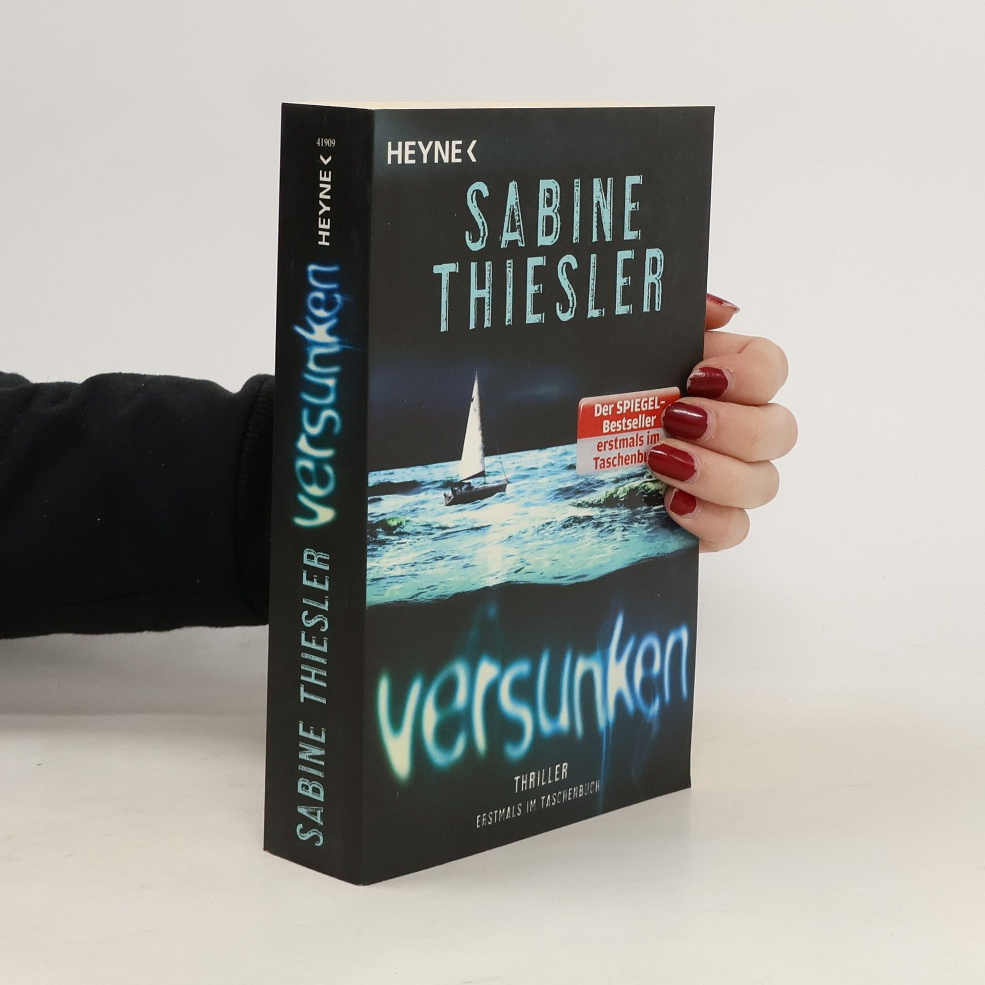 Sabine Thiesler Versunken