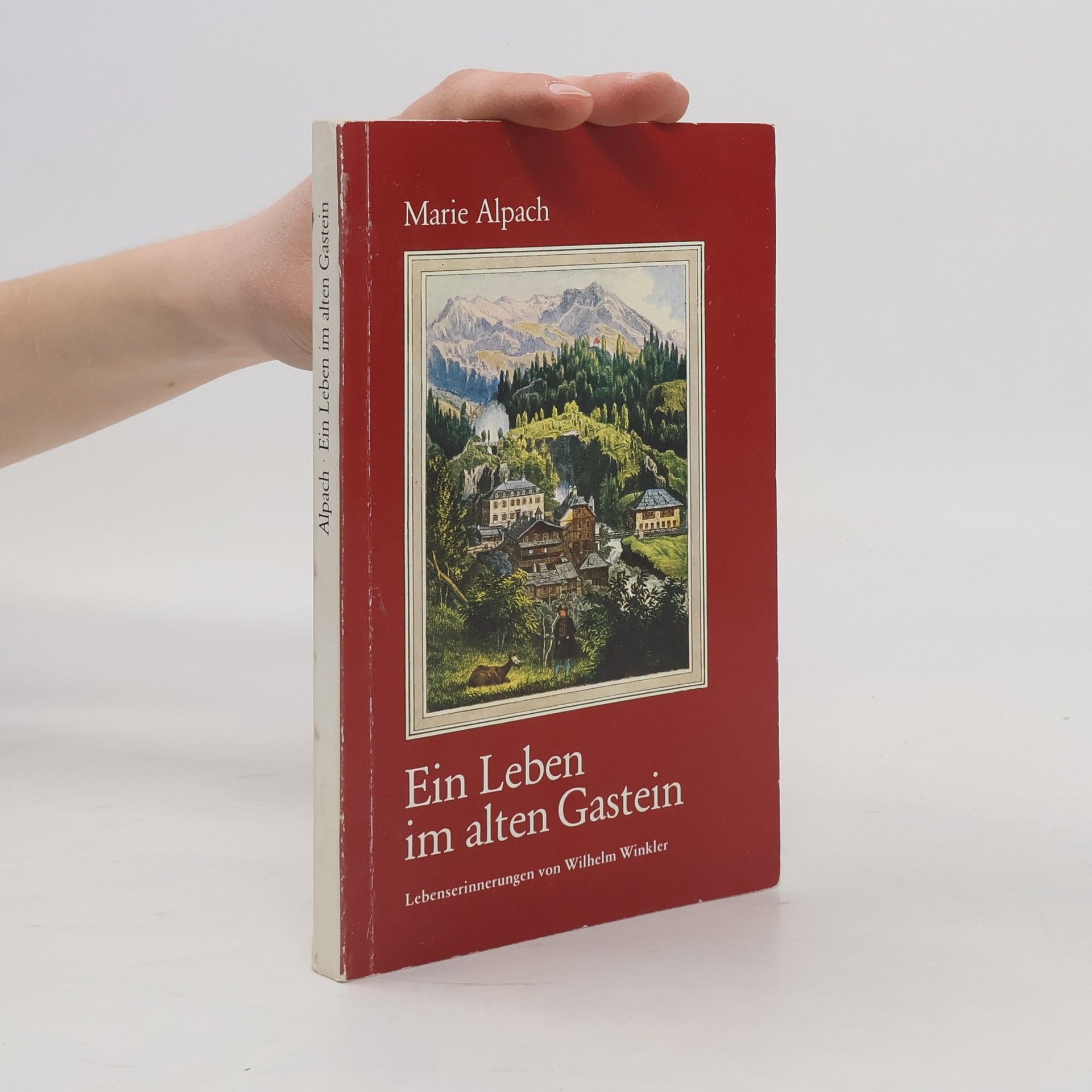 Ein Leben im alten Gastein