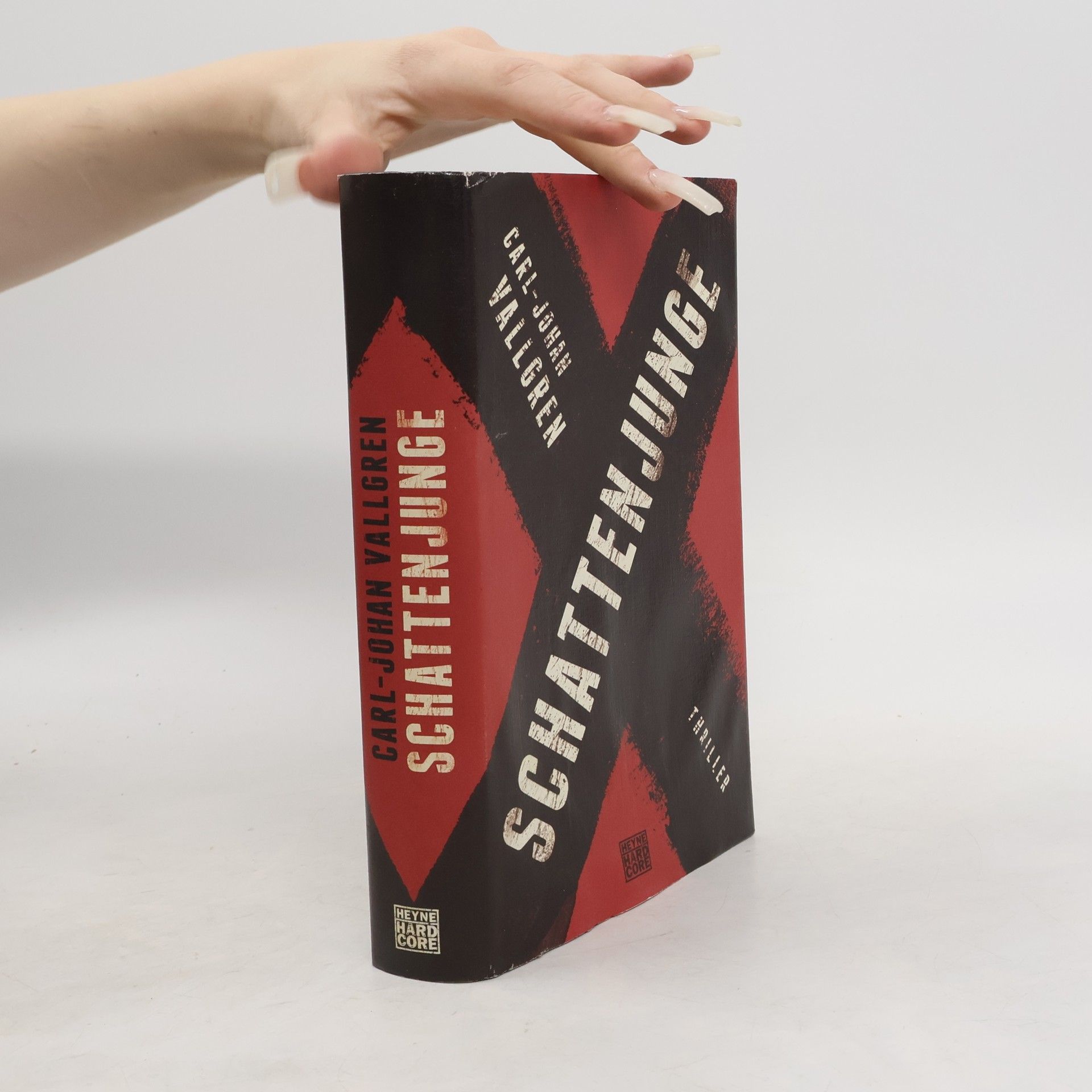 Carl-Johan Vallgren Schattenjunge