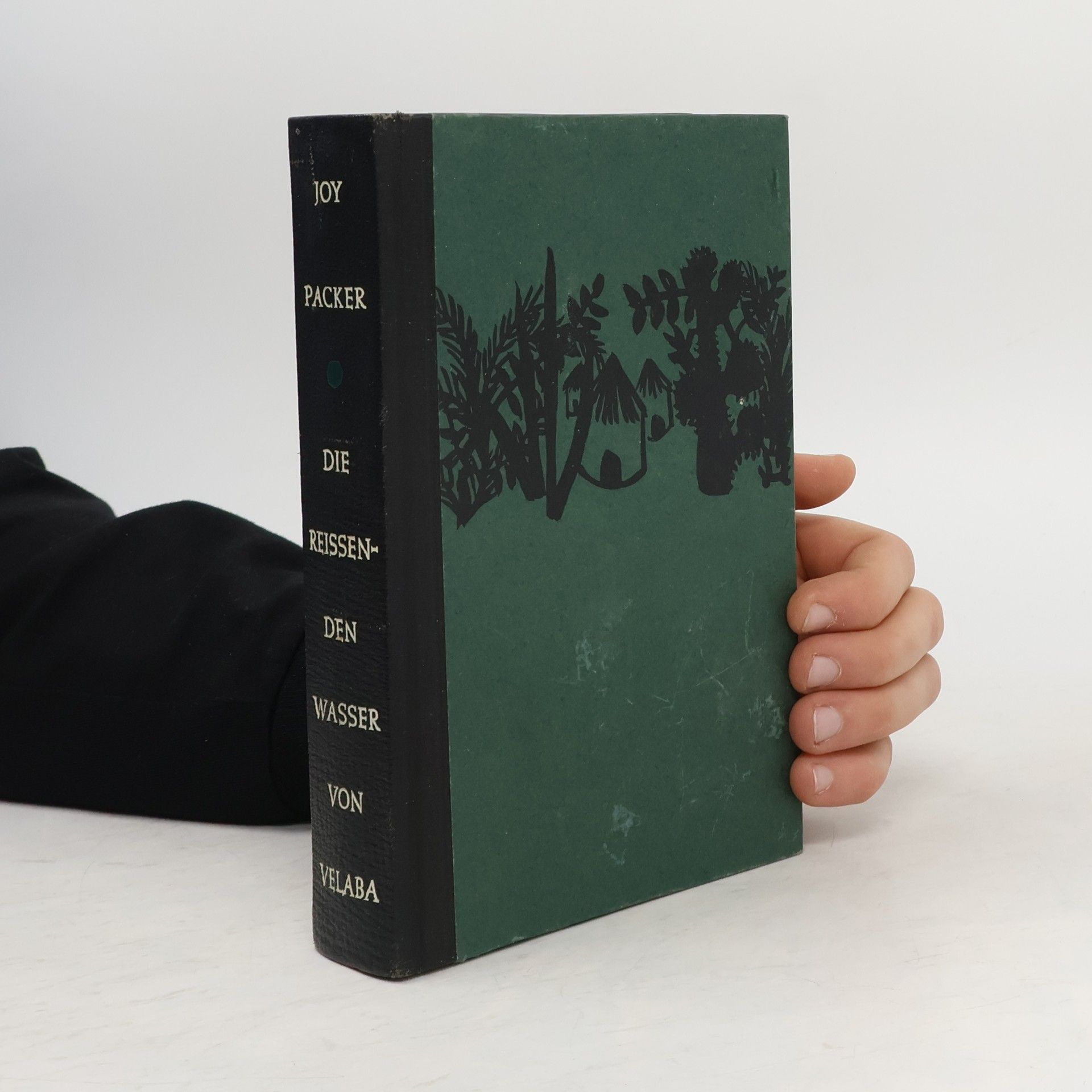 Die reissenden Wasser von Velaba