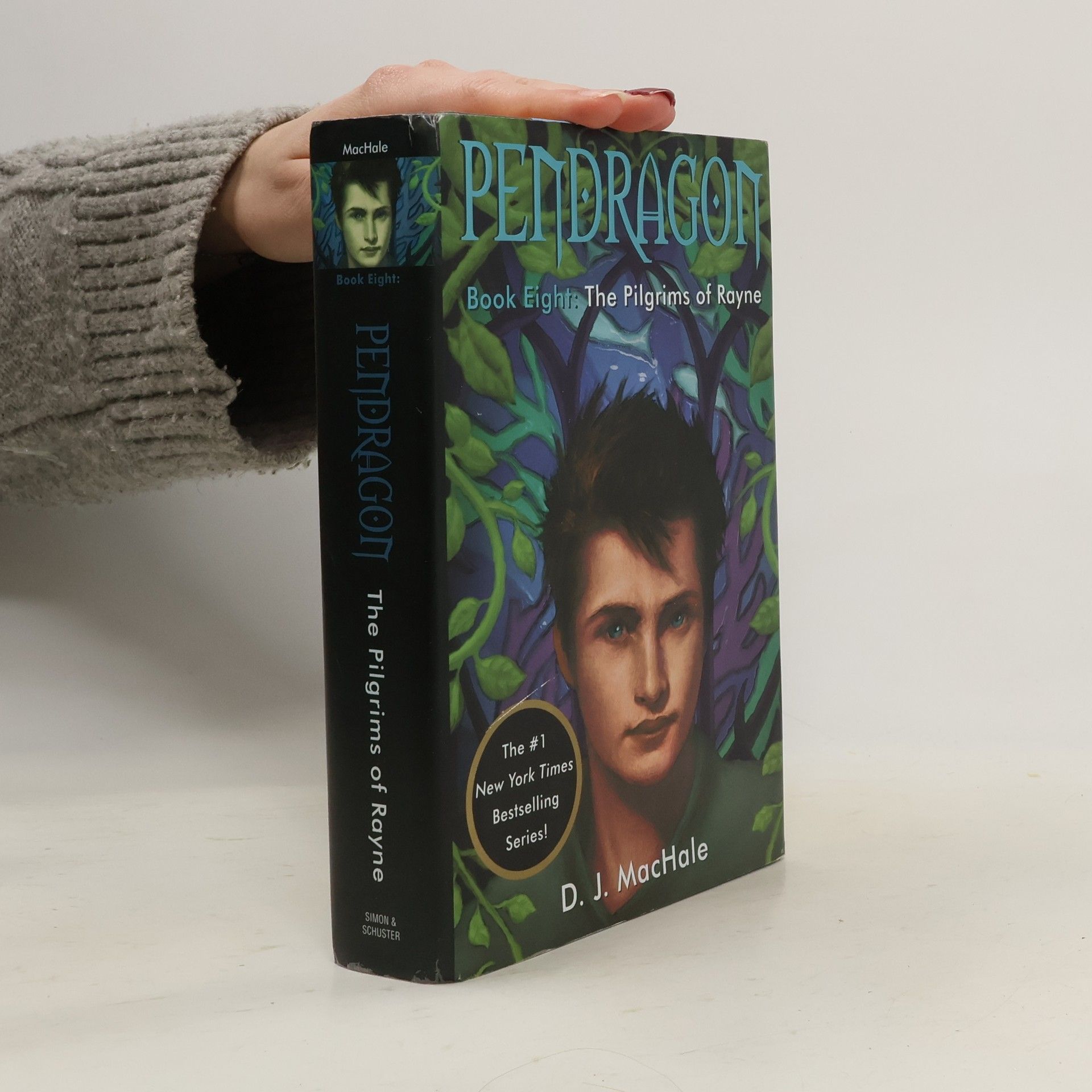 D. J. MacHale Pendragon. The Pilgrims of Rayne