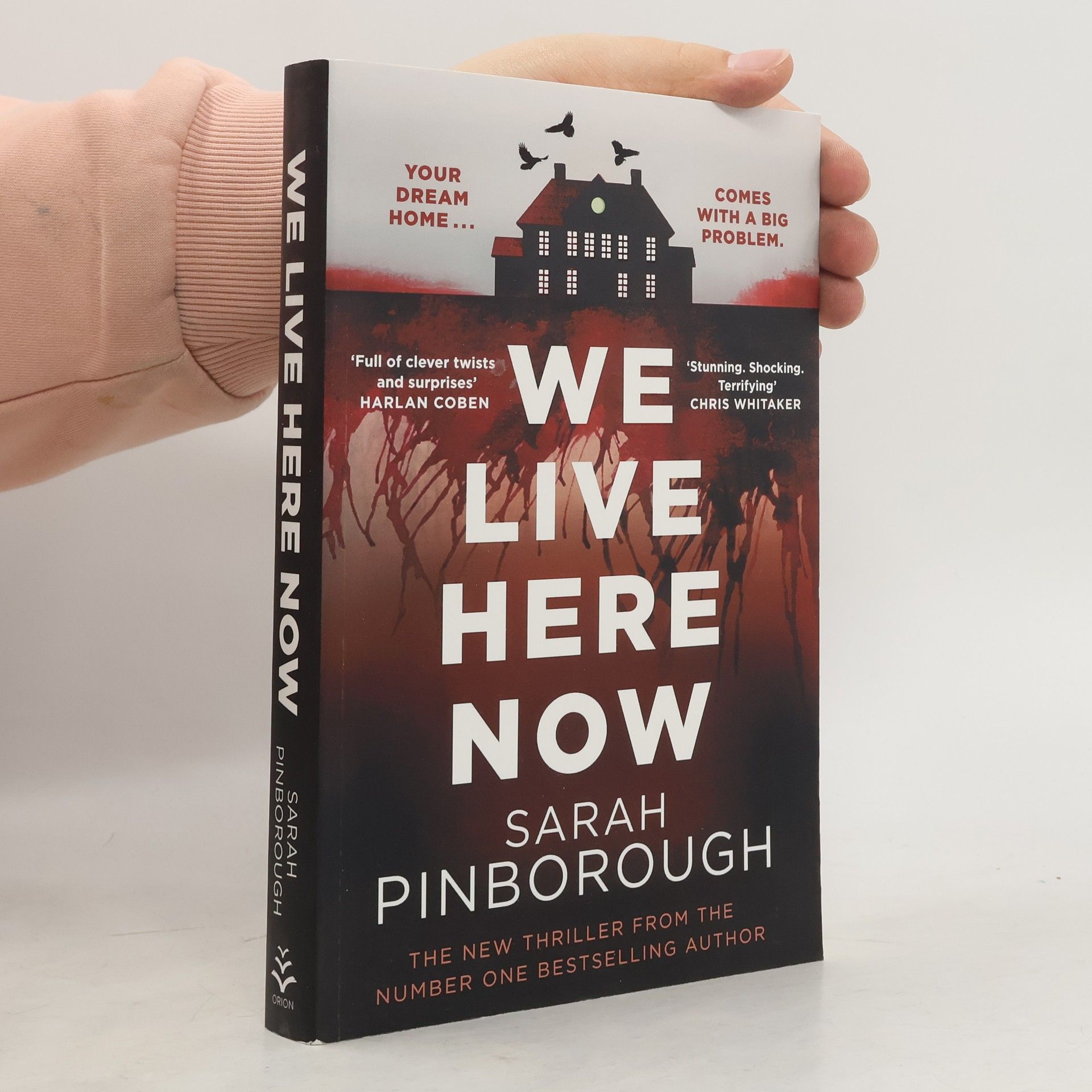 Sarah Pinborough We Live Here Now
