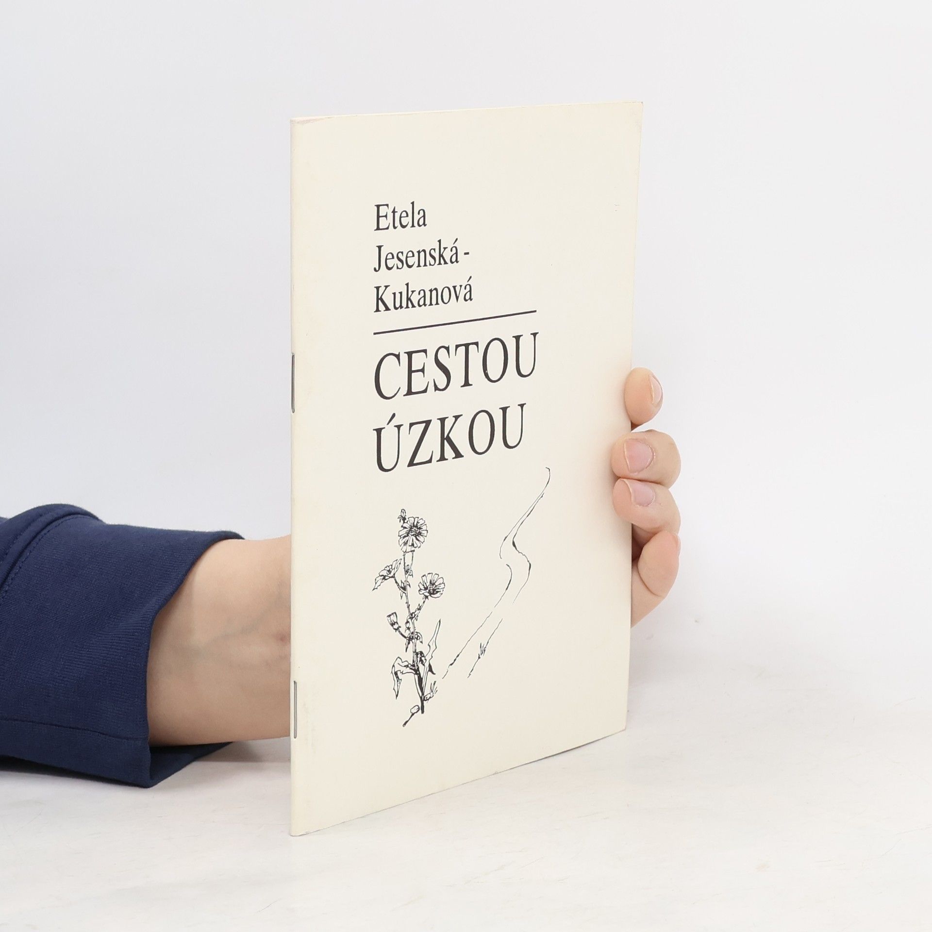 Etela Jesenská-Kuhanová Cestou úzkou