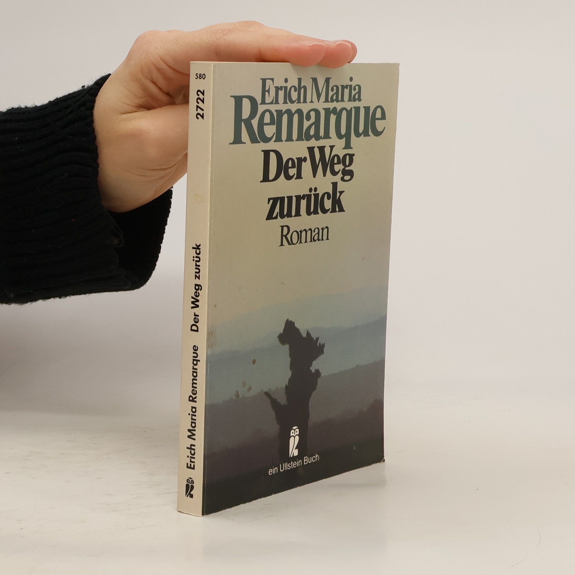 Erich Maria Remarque Der Weg zurück