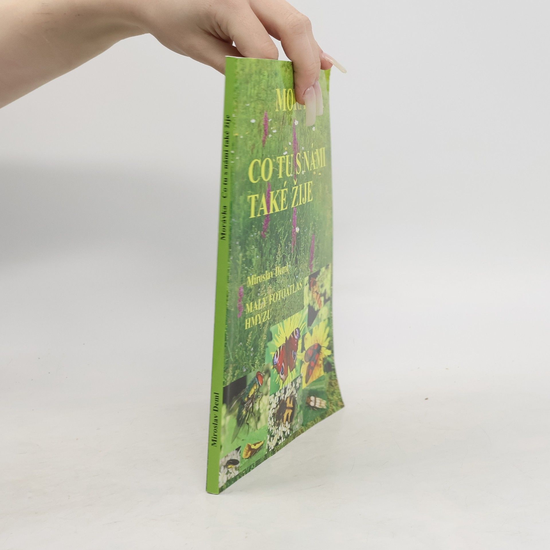 Miroslav Deml Co tu s námi také žije: Malý fotoatlas hmyzu
