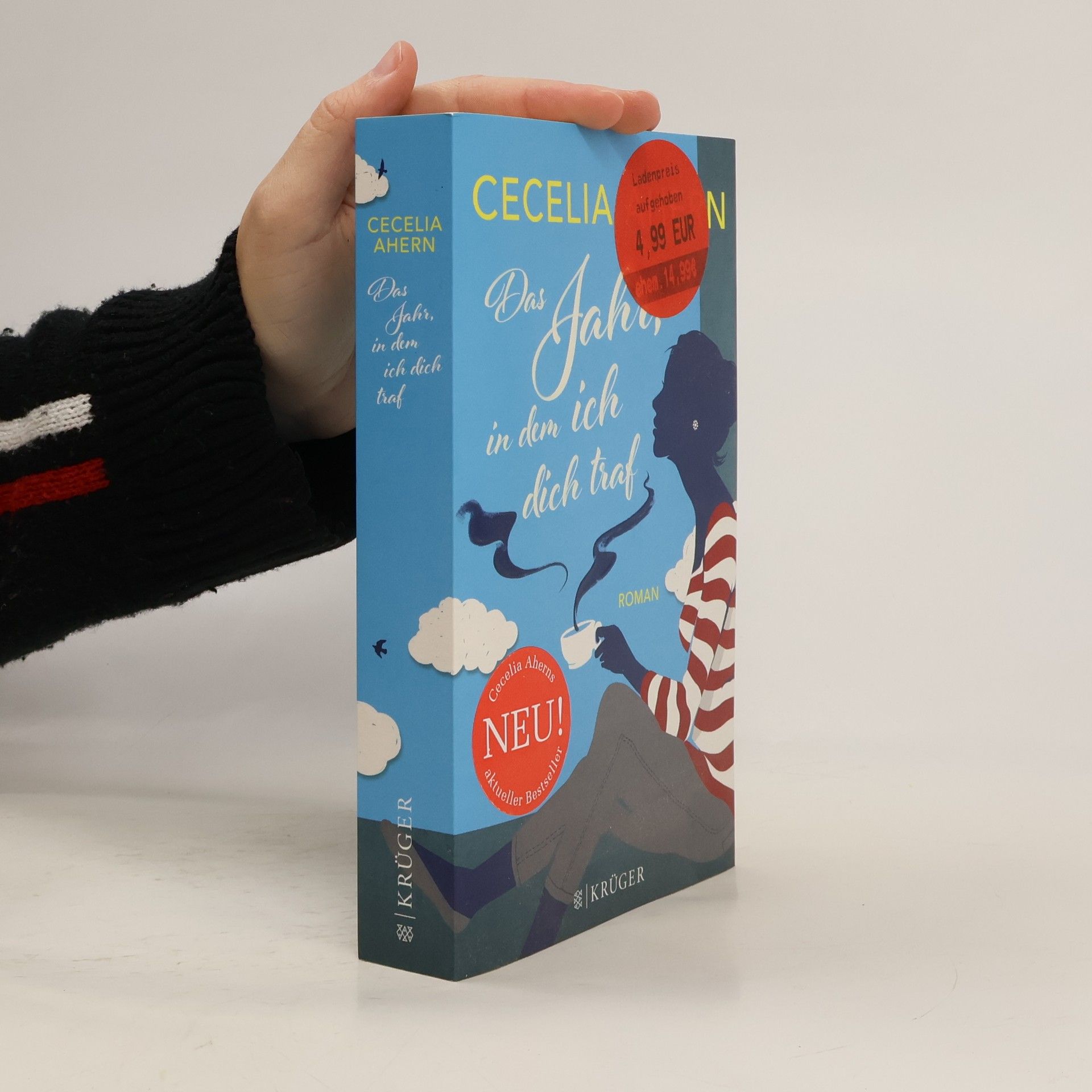 Cecelia Ahern Das Jahr, in dem ich dich traf