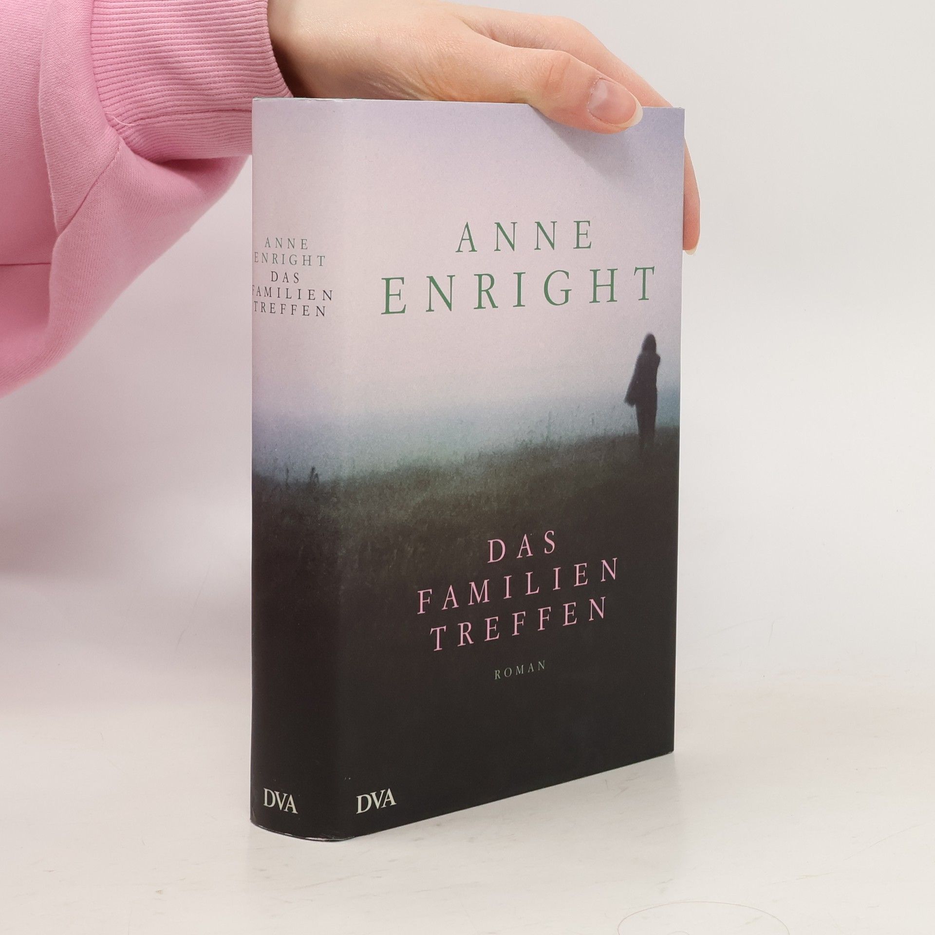 Anne Enright Das Familientreffen